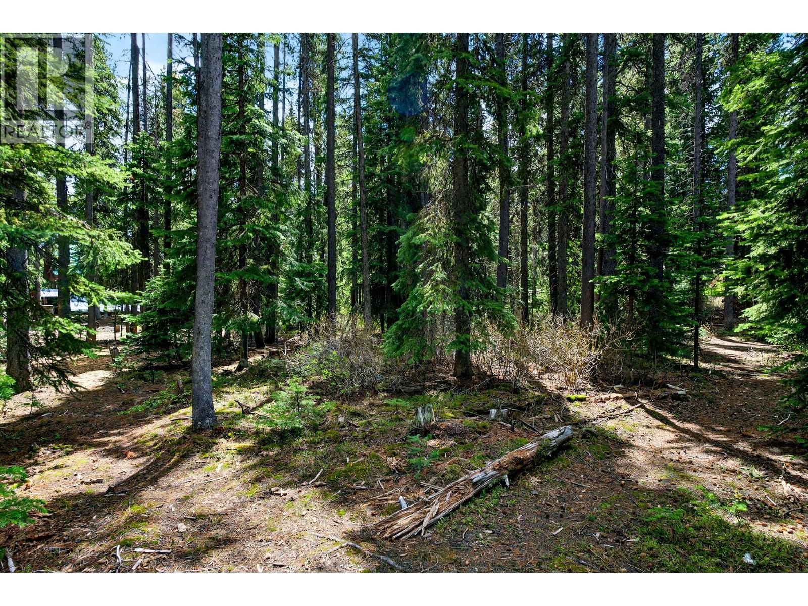 103 Whitetail Road Unit# 102, Apex Mountain, British Columbia  V2A 0E2 - Photo 56 - 10399284