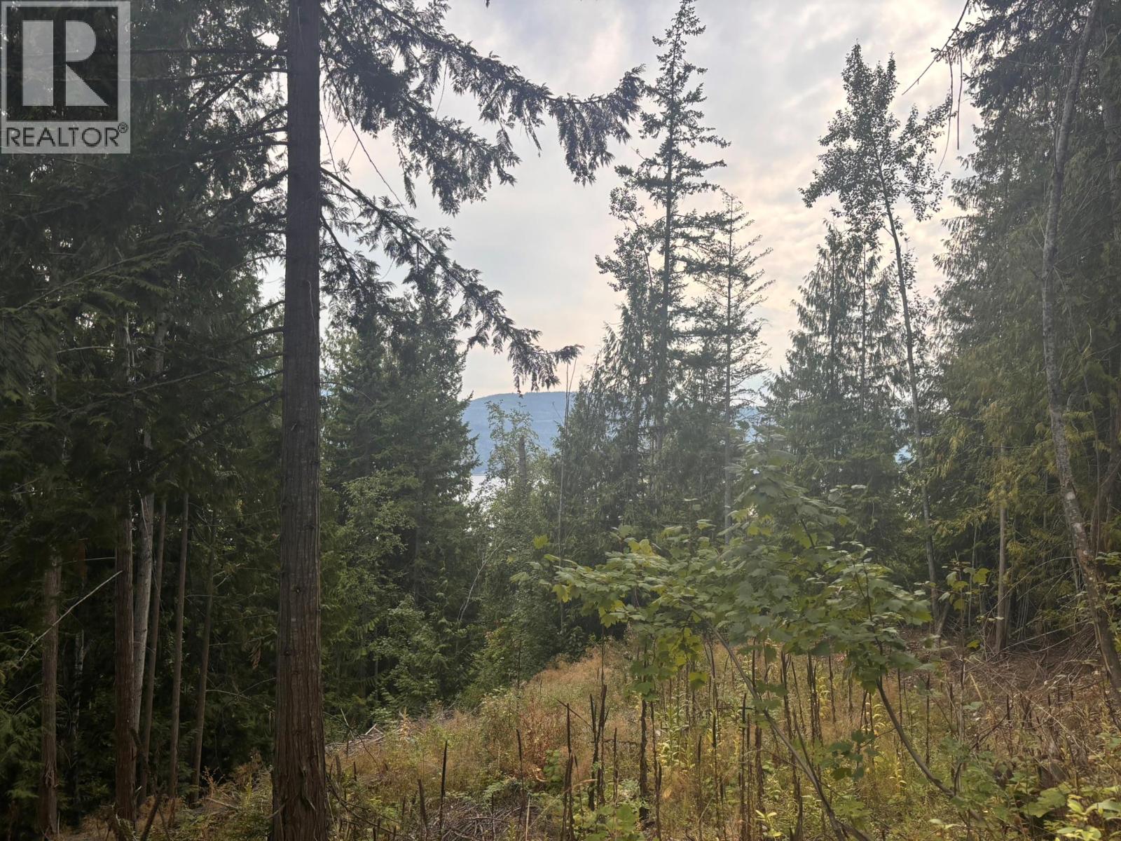 Lot 151 Columbia Drive, Anglemont, British Columbia  V0E 1M8 - Photo 1 - 10399607
