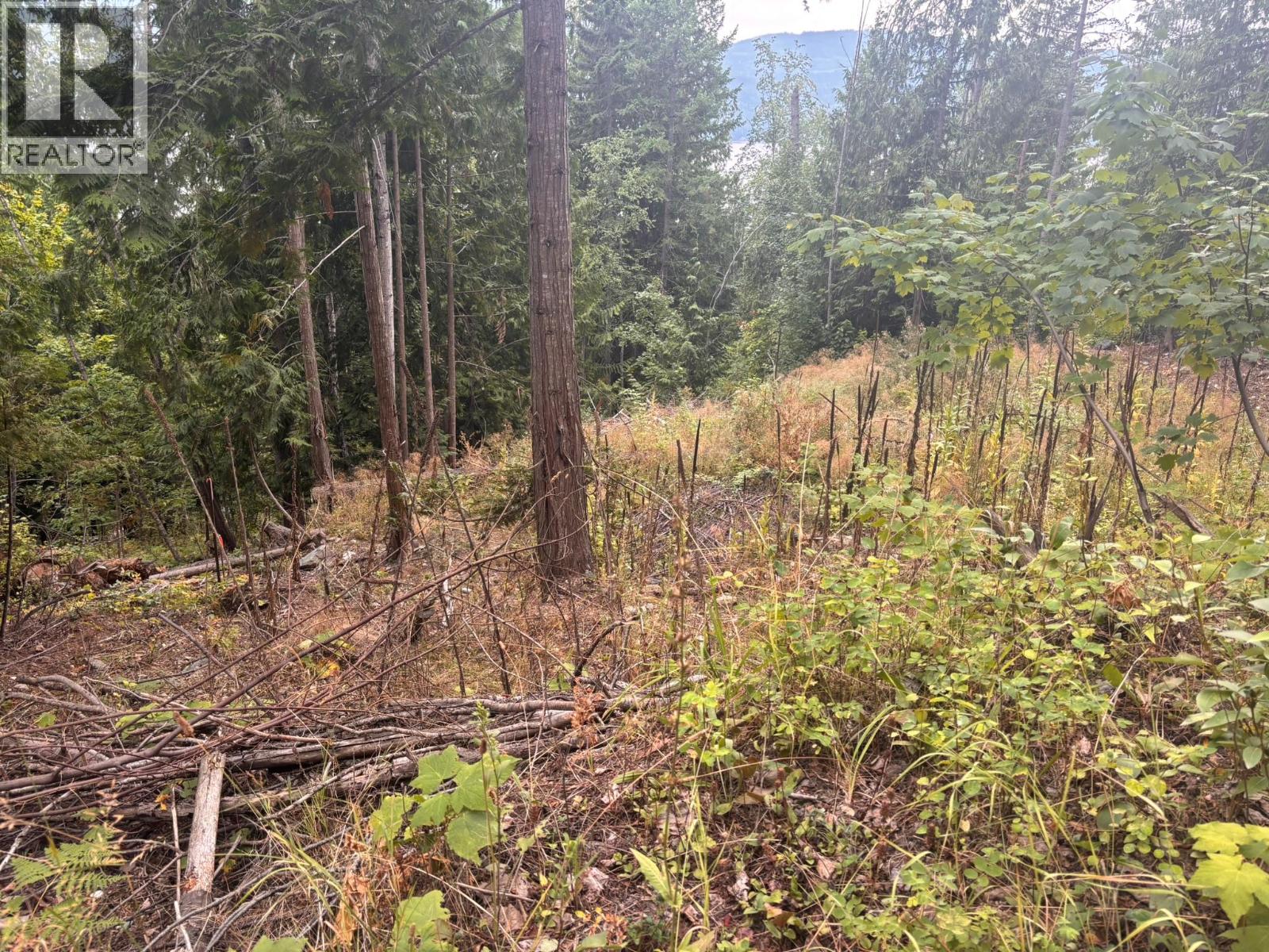 Lot 151 Columbia Drive, Anglemont, British Columbia  V0E 1M8 - Photo 2 - 10399607