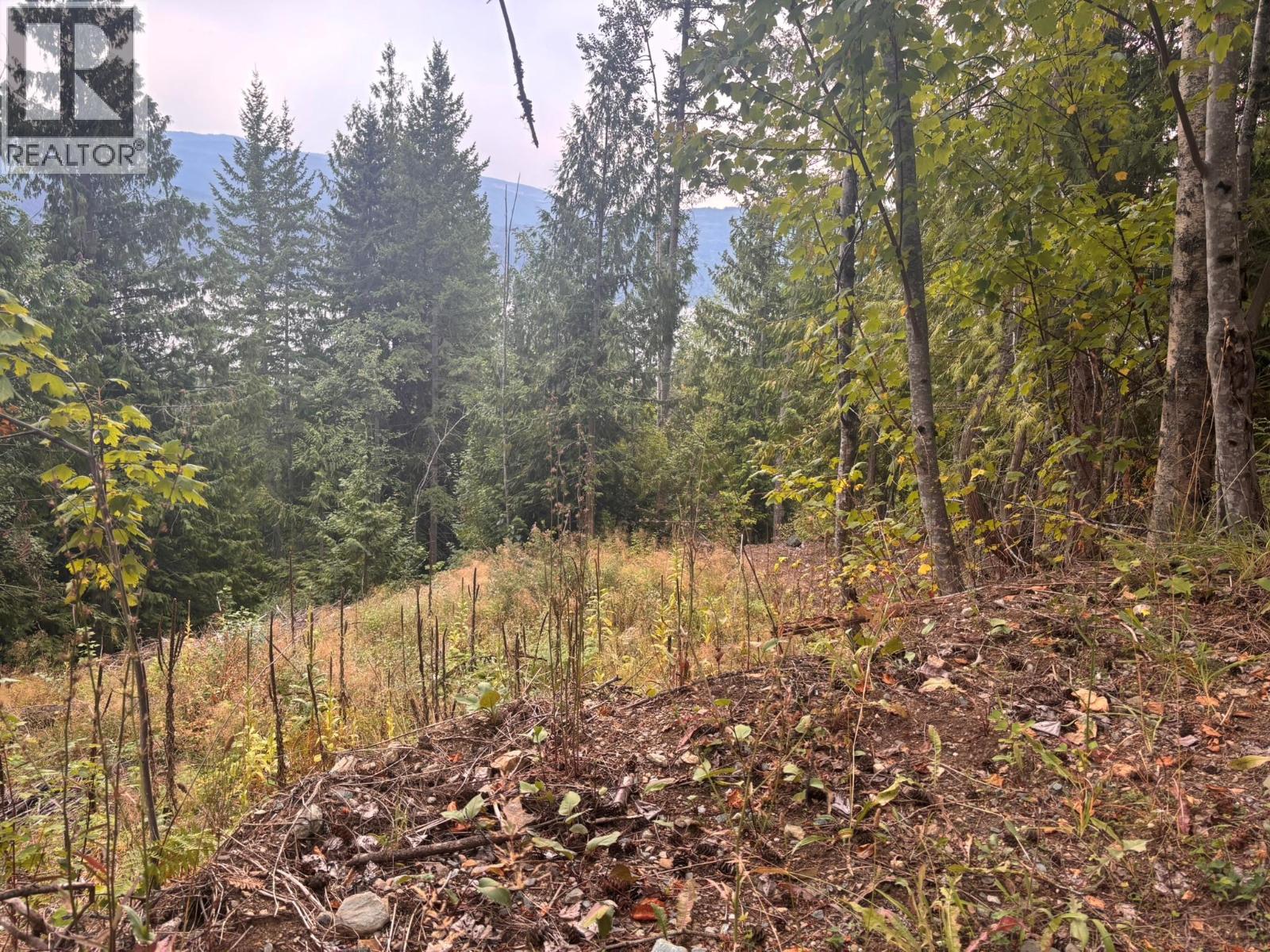 Lot 151 Columbia Drive, Anglemont, British Columbia  V0E 1M8 - Photo 3 - 10399607