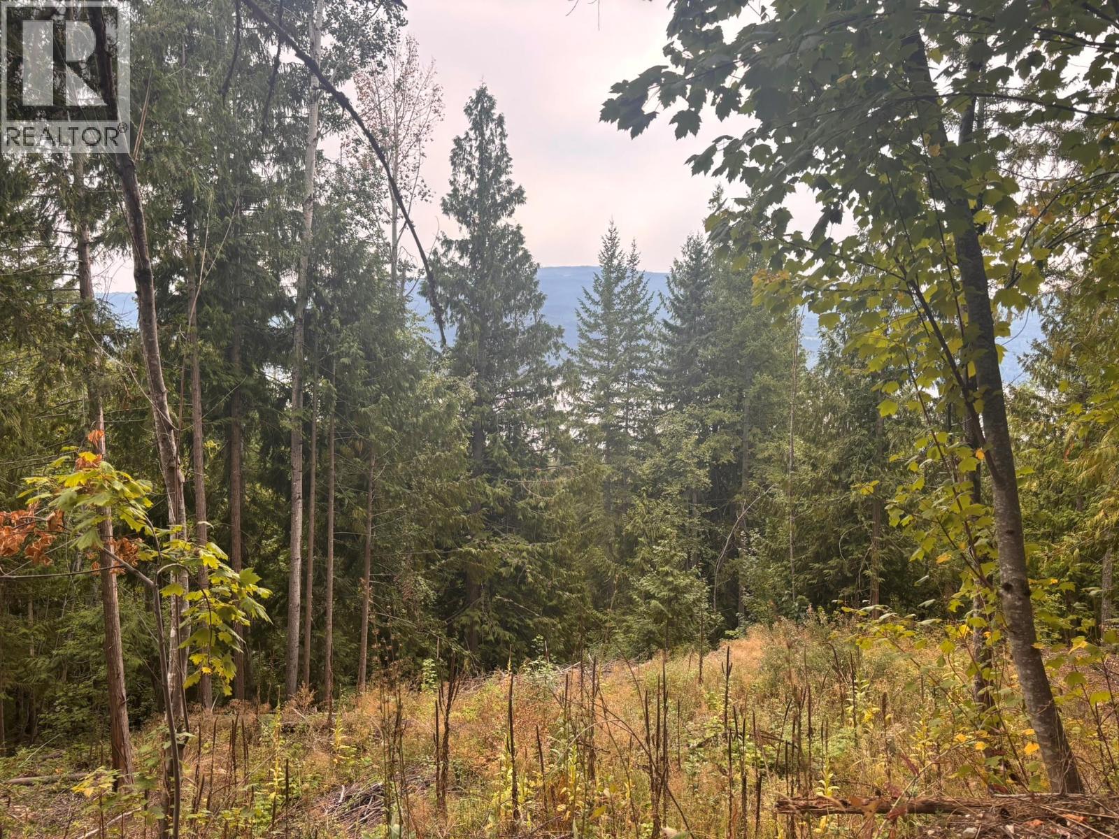 Lot 151 Columbia Drive, Anglemont, British Columbia  V0E 1M8 - Photo 4 - 10399607