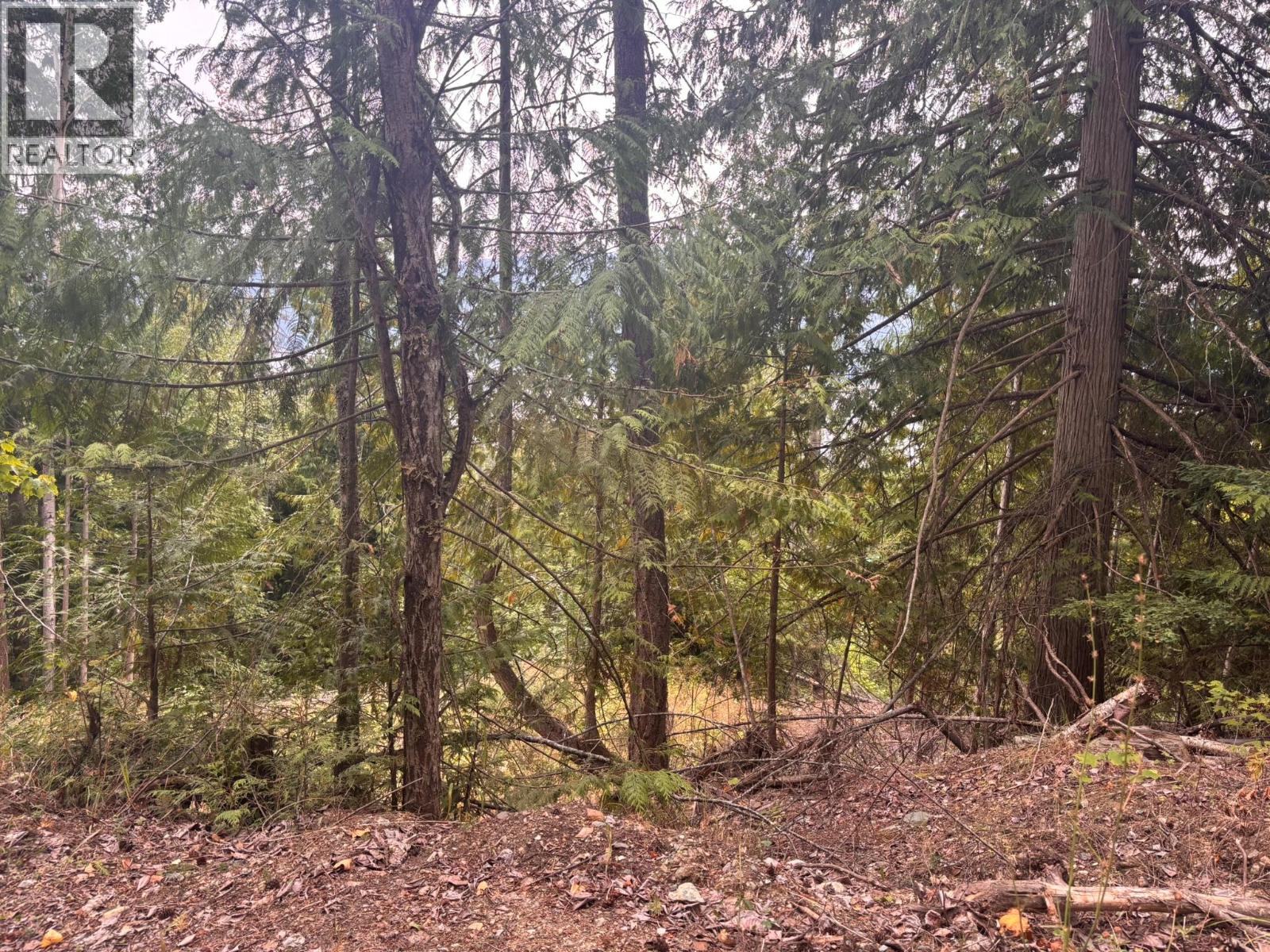 Lot 151 Columbia Drive, Anglemont, British Columbia  V0E 1M8 - Photo 5 - 10399607