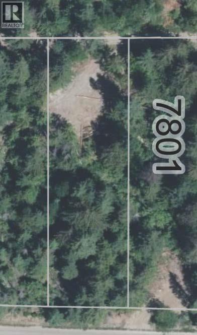 Lot 151 Columbia Drive, Anglemont, British Columbia  V0E 1M8 - Photo 6 - 10399607