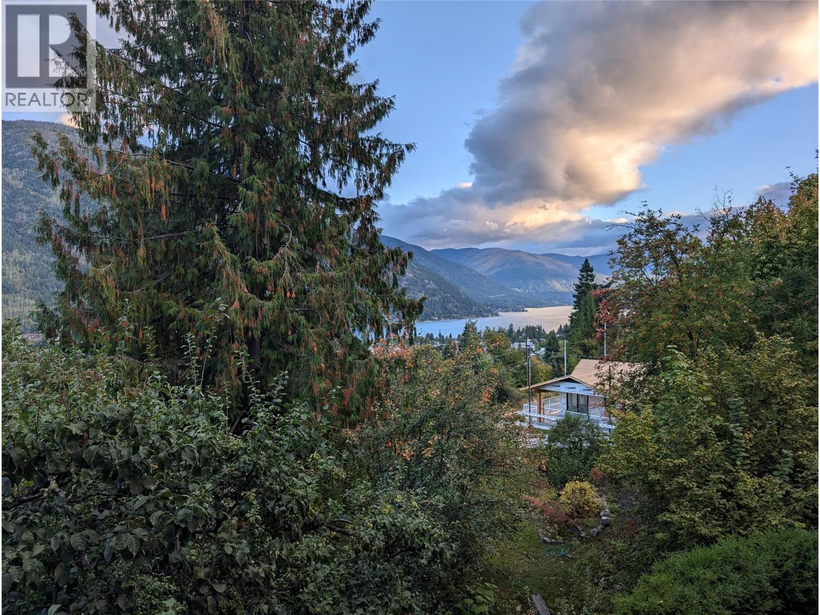 711 Regent Street, Nelson, British Columbia  V1L 5W5 - Photo 4 - 10399514