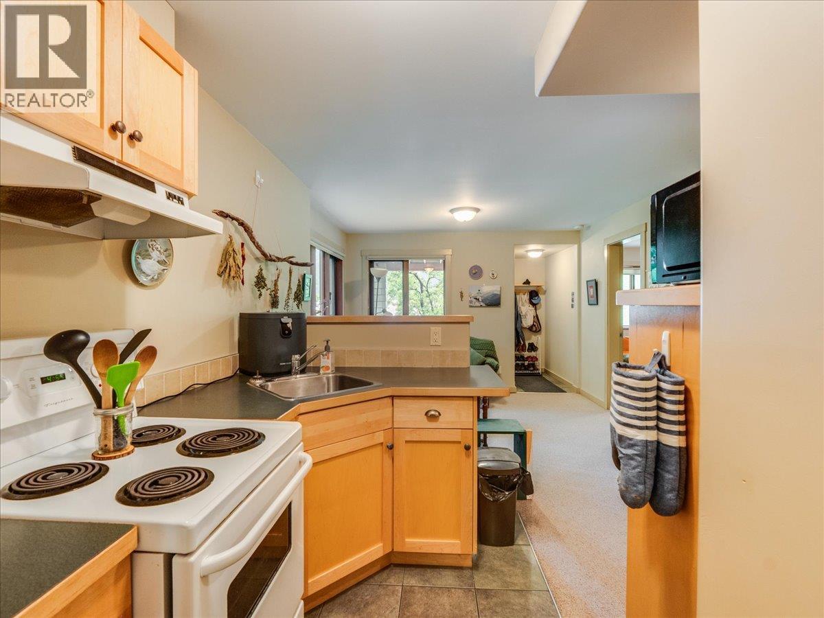711 Regent Street, Nelson, British Columbia  V1L 5W5 - Photo 68 - 10399514
