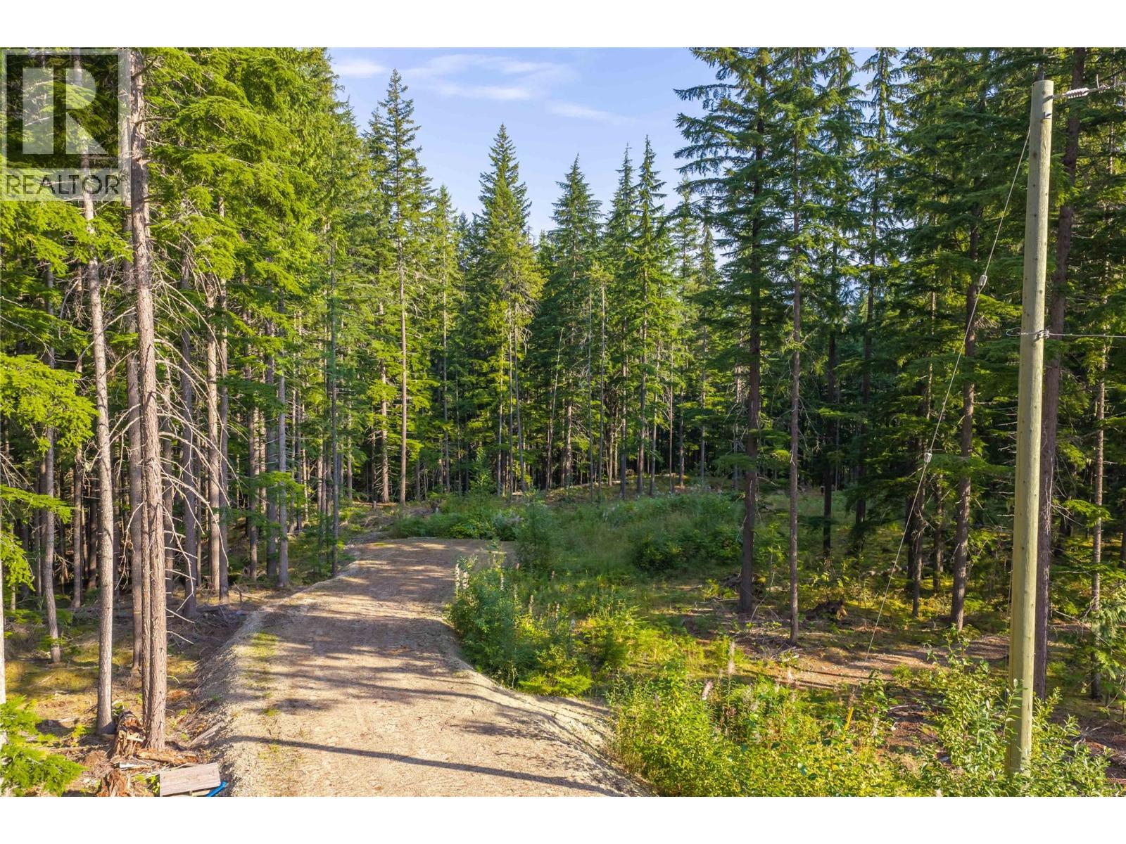 8044 23 South Highway, Revelstoke, British Columbia  V0E 2S0 - Photo 1 - 10399668