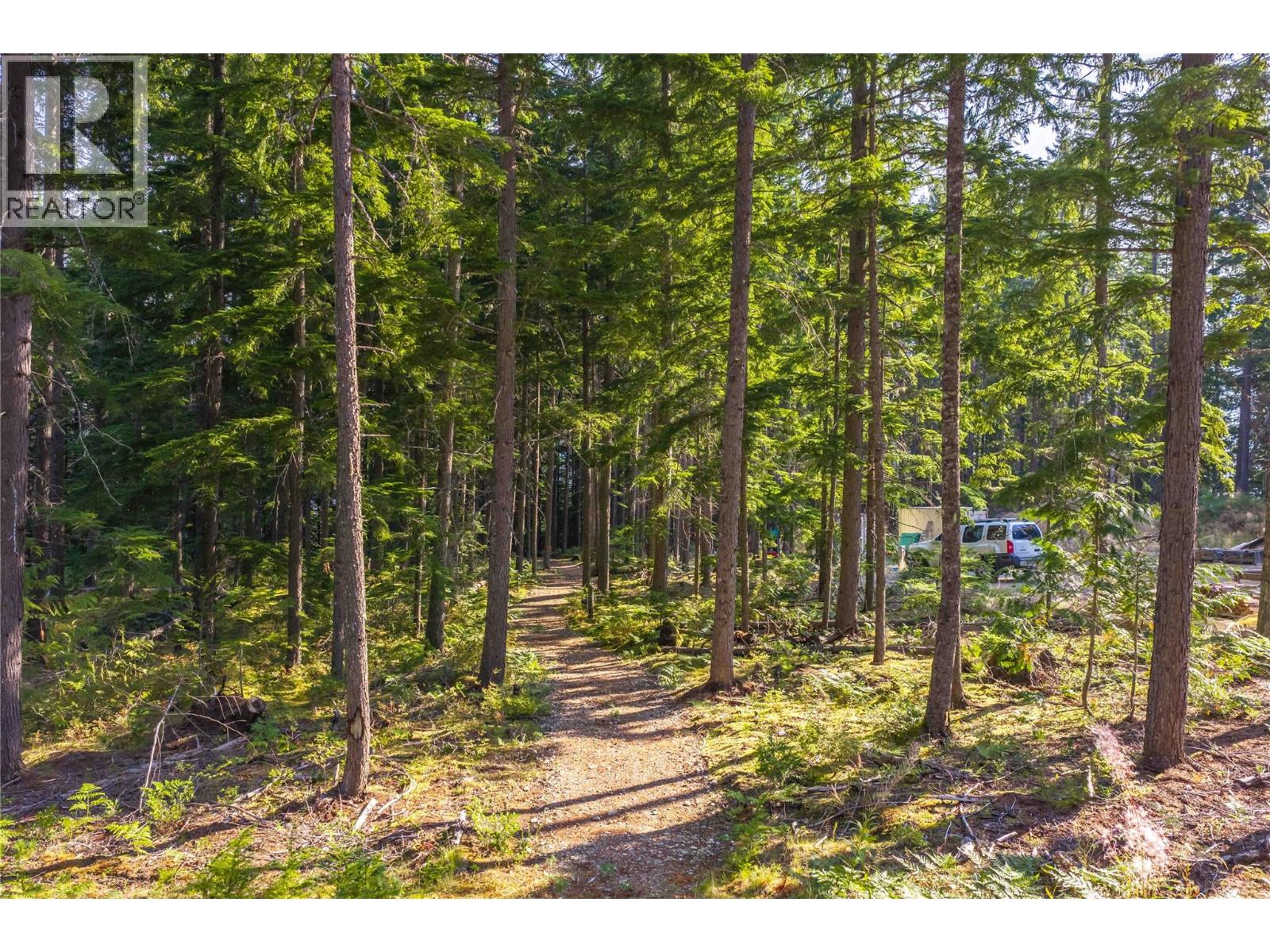 8044 23 South Highway, Revelstoke, British Columbia  V0E 2S0 - Photo 25 - 10399668