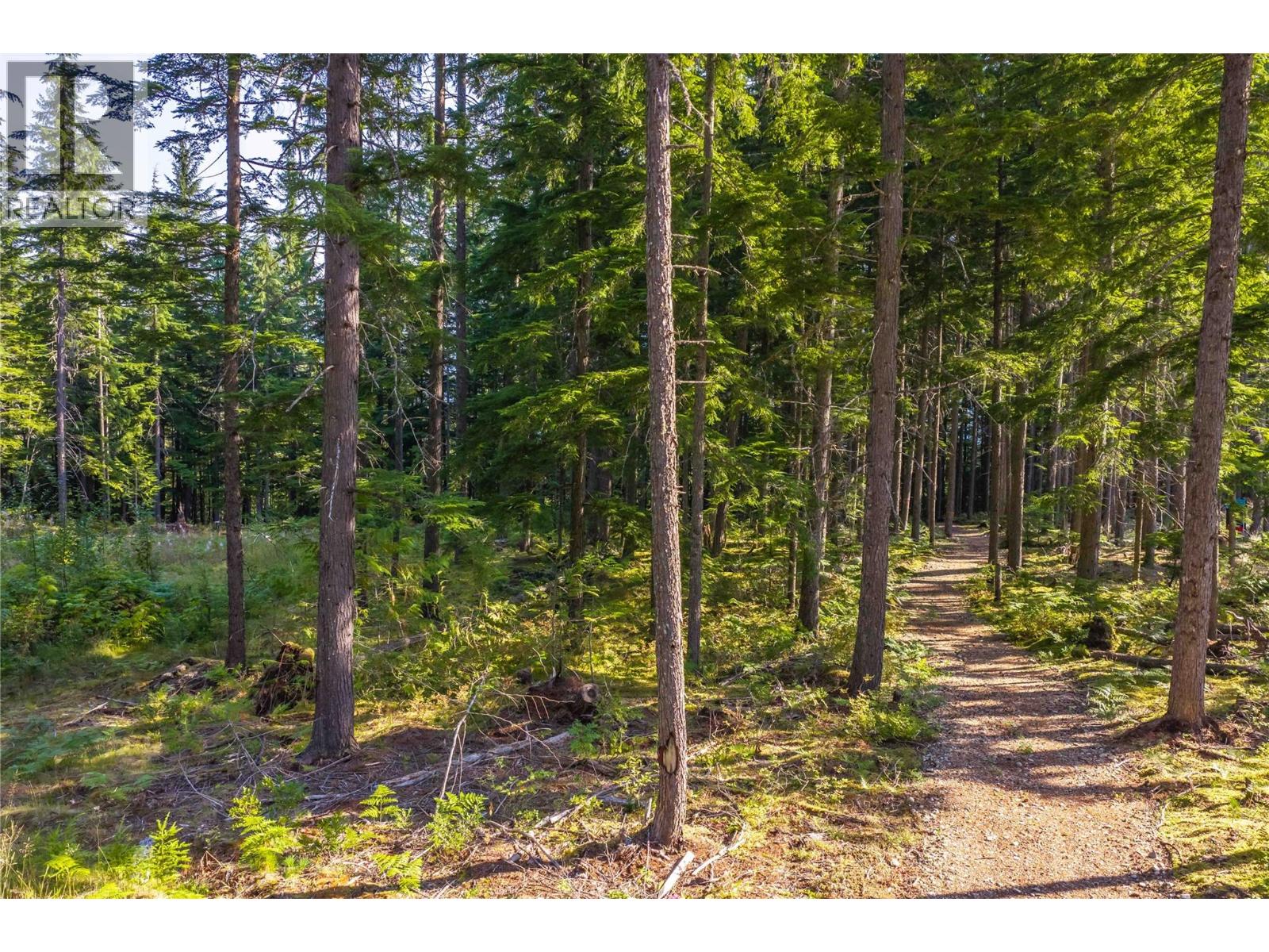 8044 23 South Highway, Revelstoke, British Columbia  V0E 2S0 - Photo 26 - 10399668