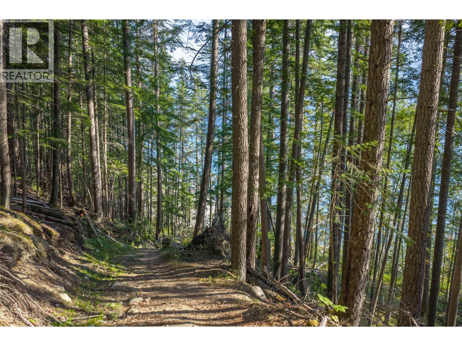 8044 23 South Highway, Revelstoke, British Columbia  V0E 2S0 - Photo 38 - 10399668