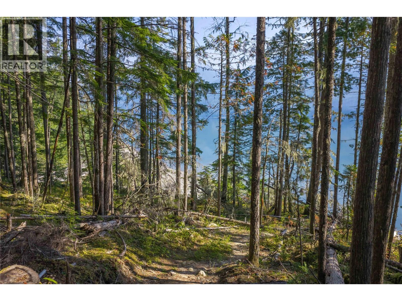 8044 23 South Highway, Revelstoke, British Columbia  V0E 2S0 - Photo 39 - 10399668