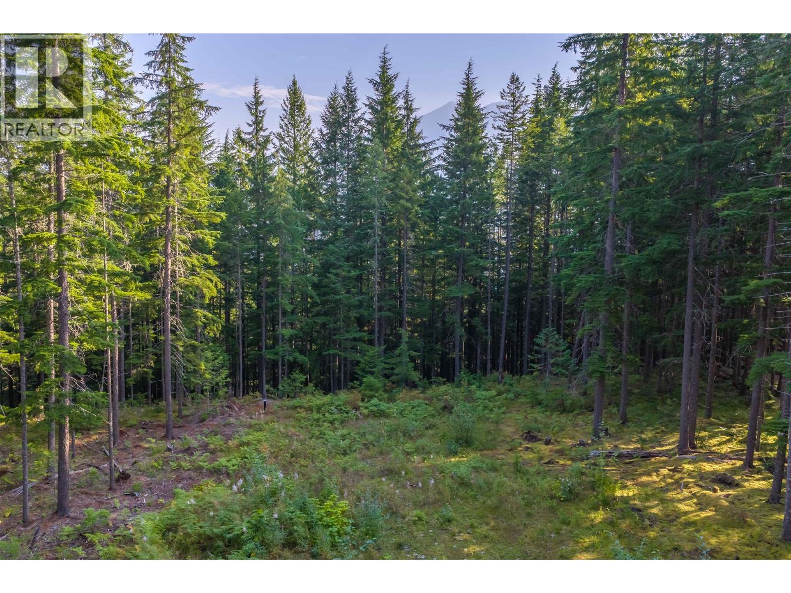 8044 23 South Highway, Revelstoke, British Columbia  V0E 2S0 - Photo 4 - 10399668