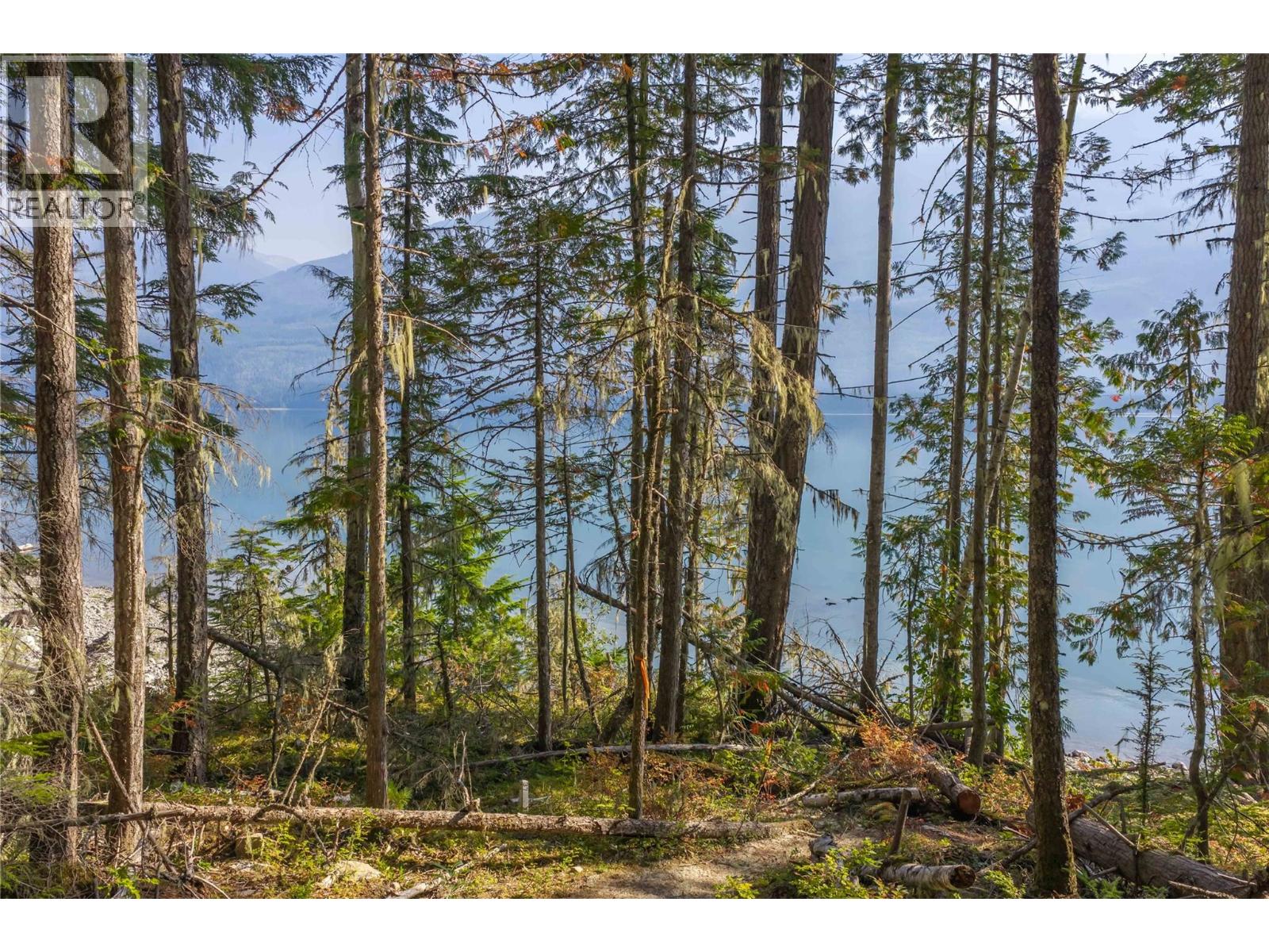 8044 23 South Highway, Revelstoke, British Columbia  V0E 2S0 - Photo 40 - 10399668