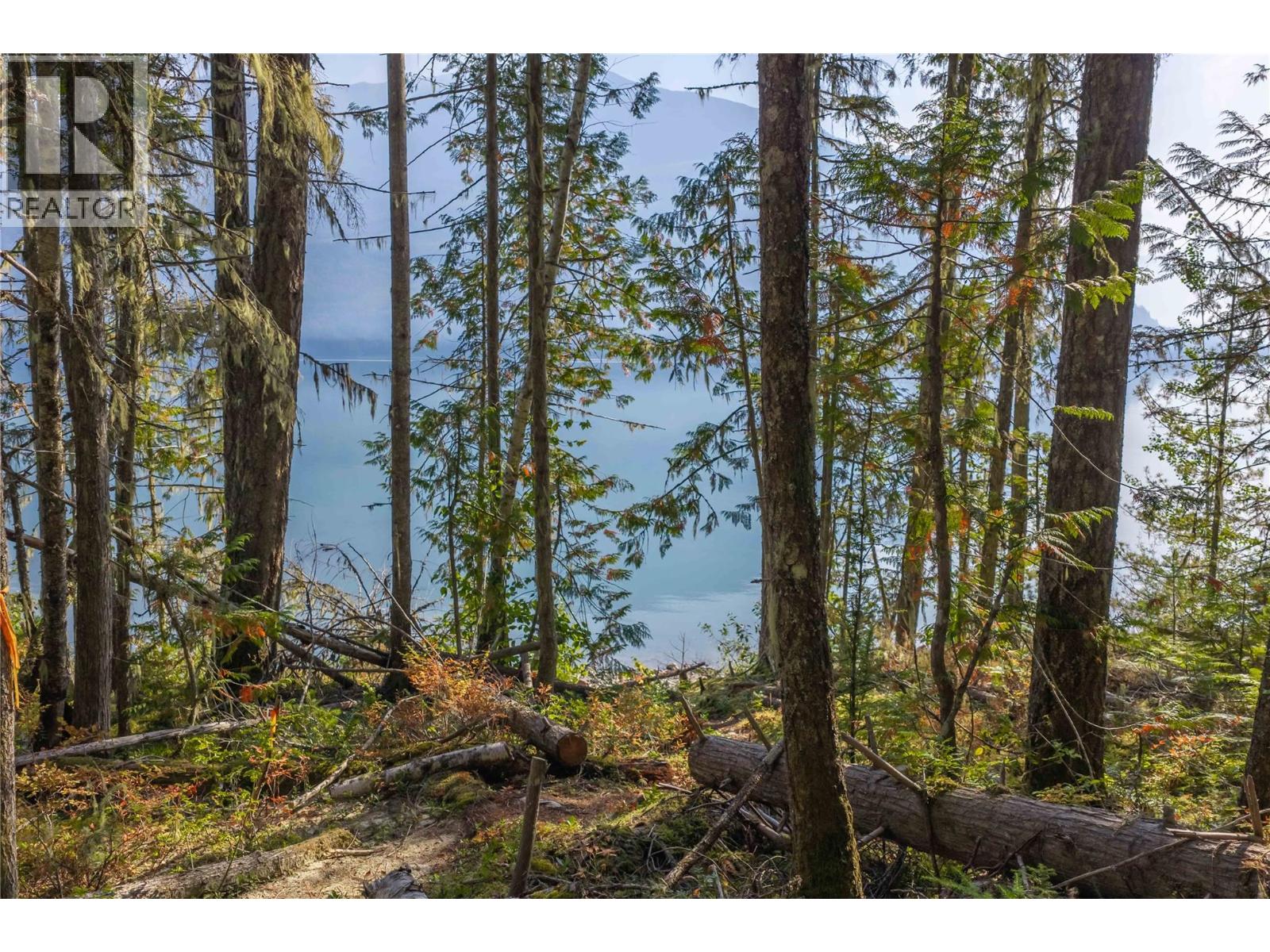 8044 23 South Highway, Revelstoke, British Columbia  V0E 2S0 - Photo 41 - 10399668