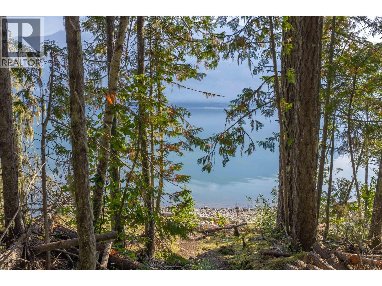8044 23 South Highway, Revelstoke, British Columbia  V0E 2S0 - Photo 42 - 10399668