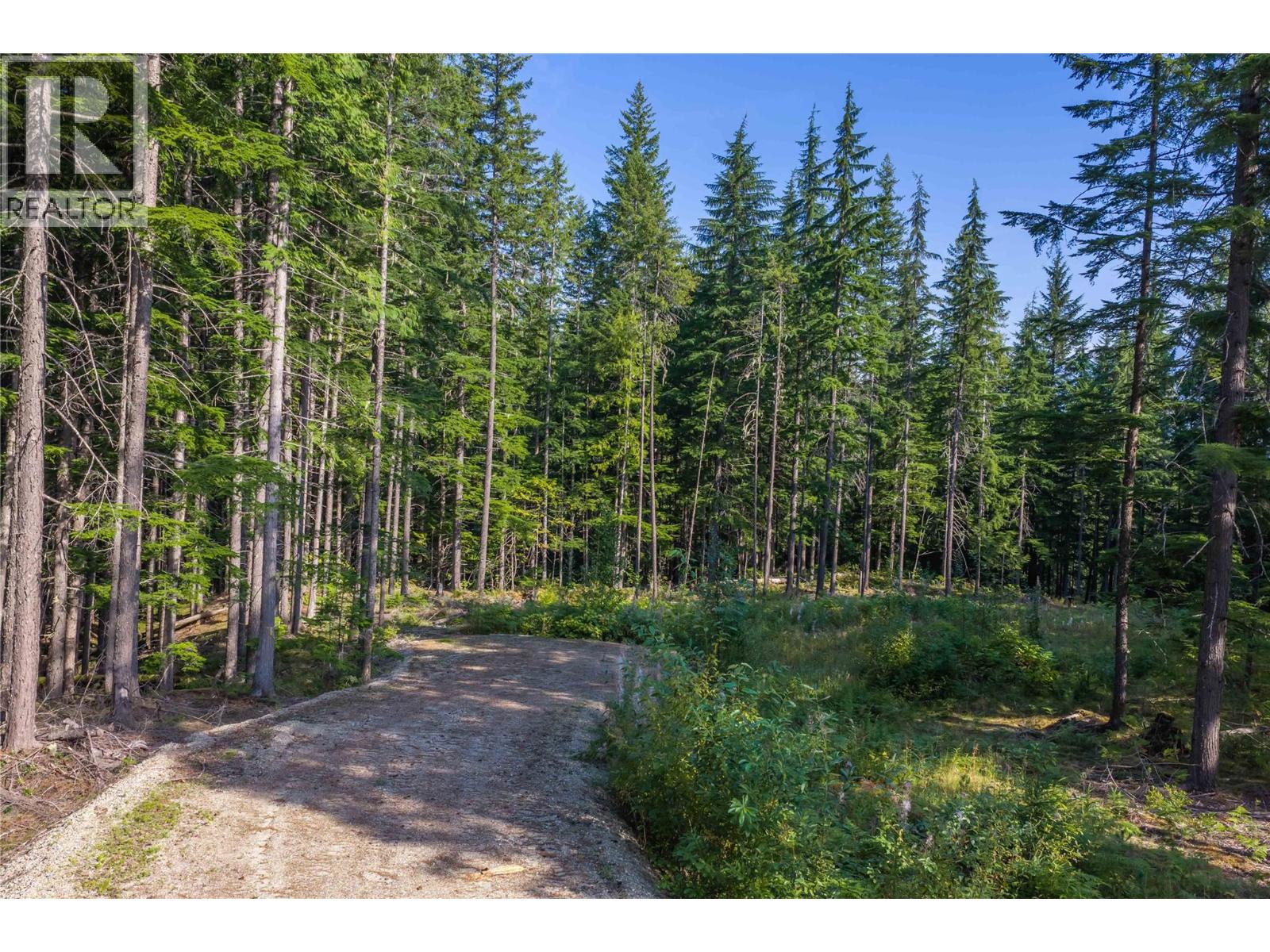 8044 23 South Highway, Revelstoke, British Columbia  V0E 2S0 - Photo 47 - 10399668