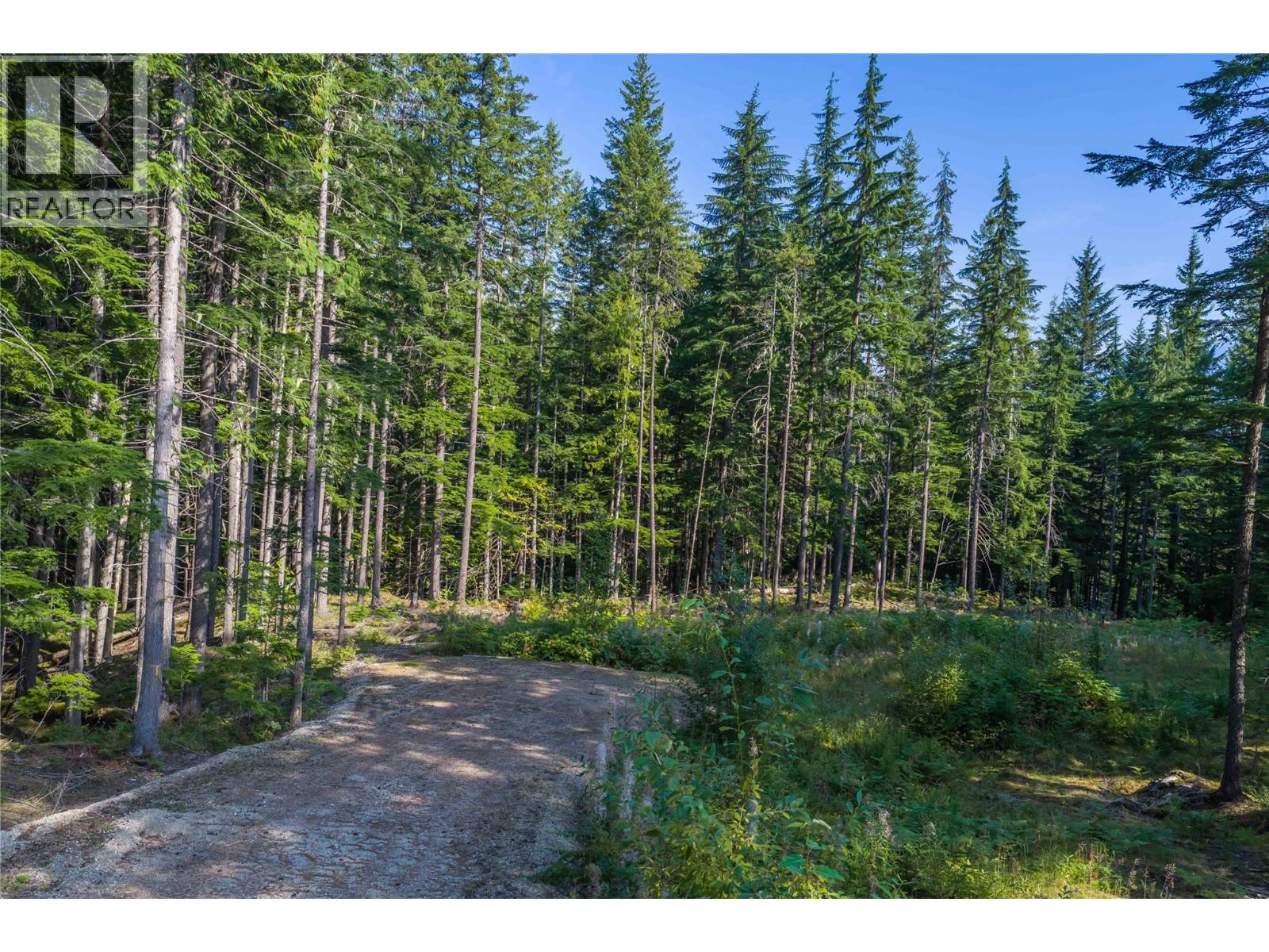 8044 23 South Highway, Revelstoke, British Columbia  V0E 2S0 - Photo 48 - 10399668