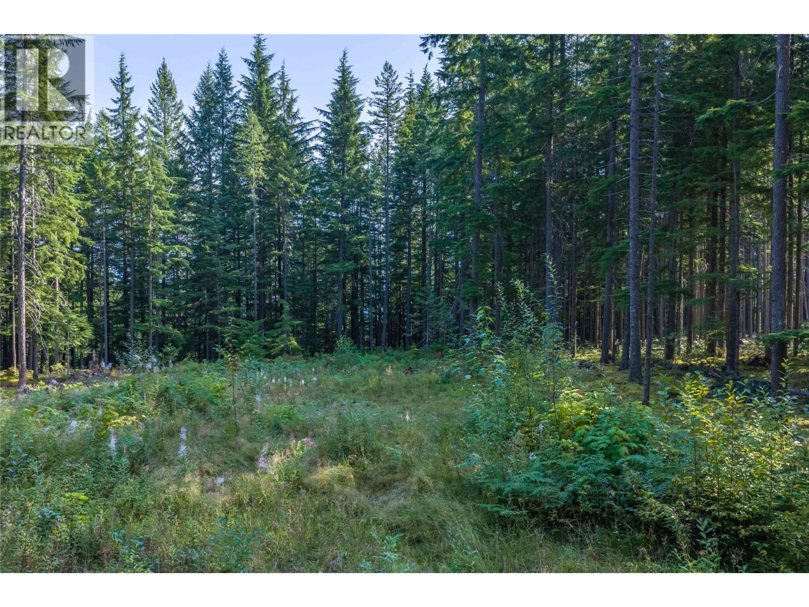 8044 23 South Highway, Revelstoke, British Columbia  V0E 2S0 - Photo 49 - 10399668