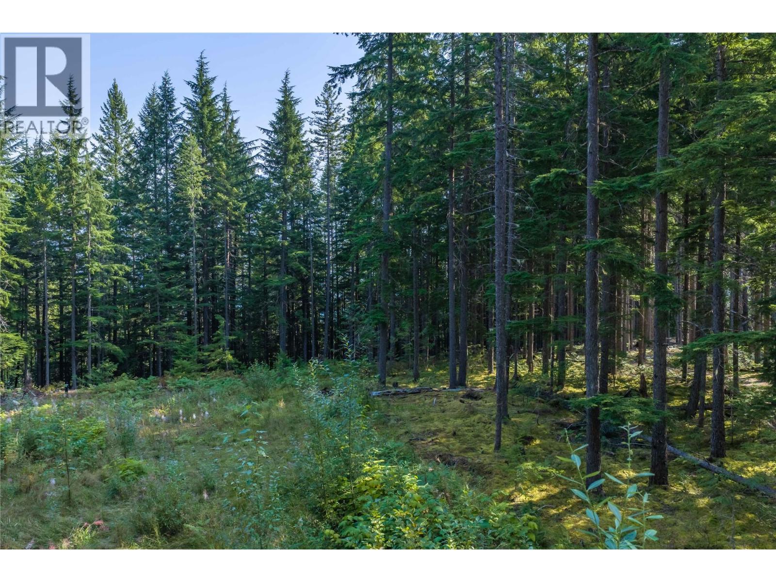 8044 23 South Highway, Revelstoke, British Columbia  V0E 2S0 - Photo 50 - 10399668