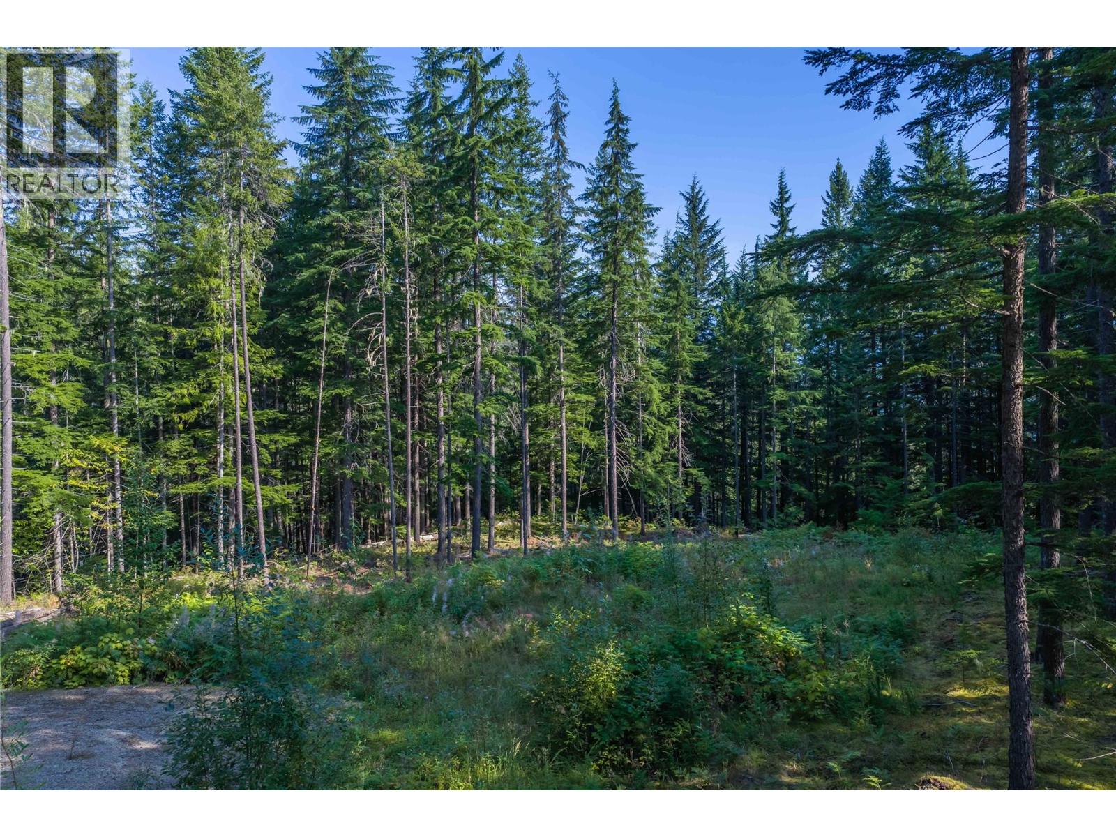 8044 23 South Highway, Revelstoke, British Columbia  V0E 2S0 - Photo 51 - 10399668