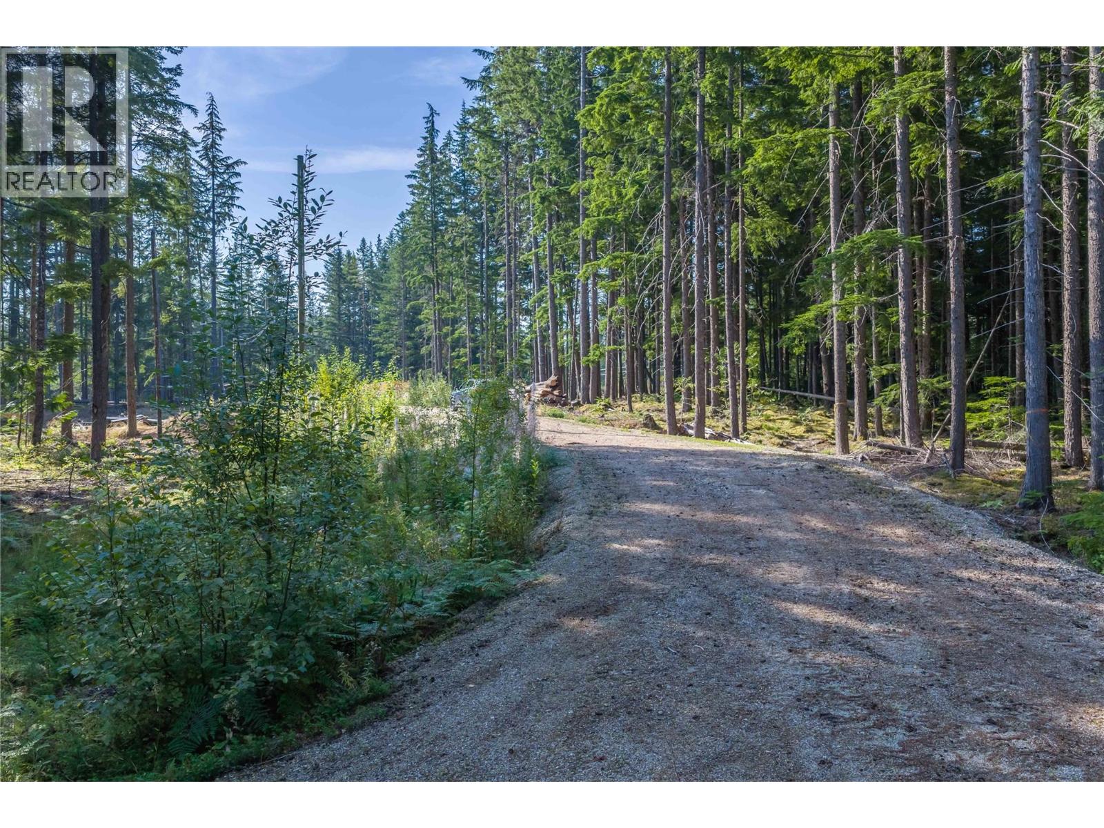 8044 23 South Highway, Revelstoke, British Columbia  V0E 2S0 - Photo 52 - 10399668