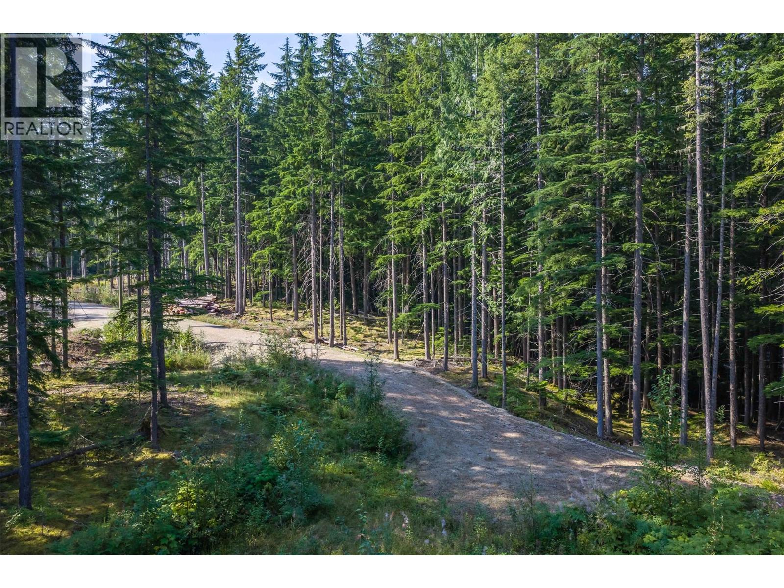8044 23 South Highway, Revelstoke, British Columbia  V0E 2S0 - Photo 53 - 10399668