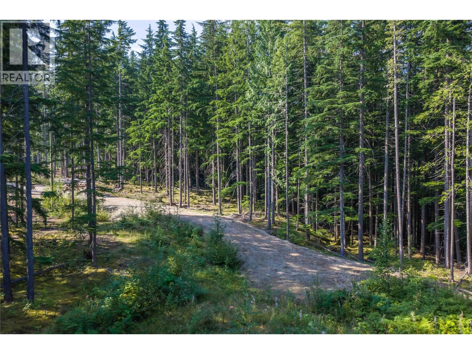 8044 23 South Highway, Revelstoke, British Columbia  V0E 2S0 - Photo 54 - 10399668