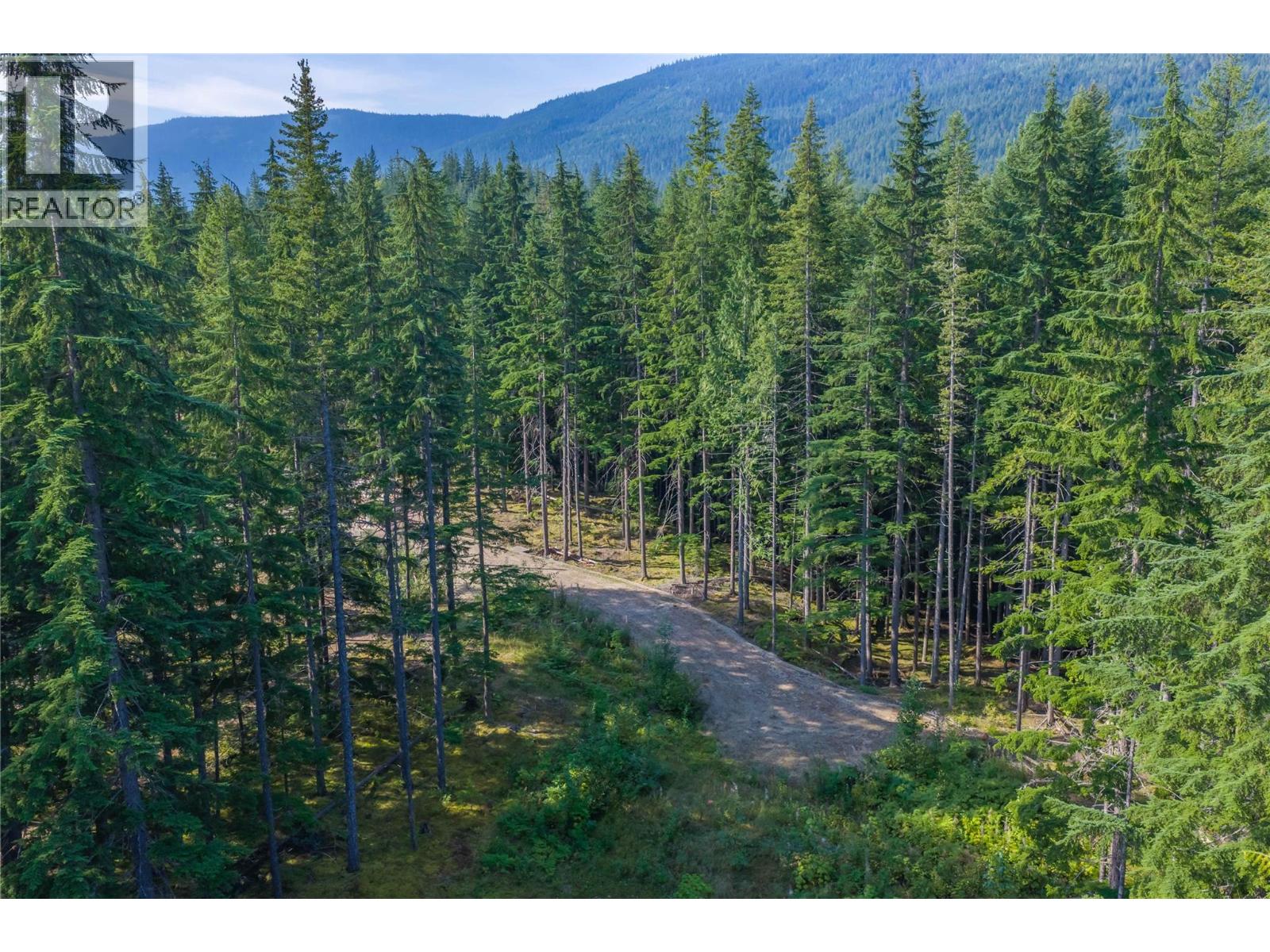 8044 23 South Highway, Revelstoke, British Columbia  V0E 2S0 - Photo 55 - 10399668