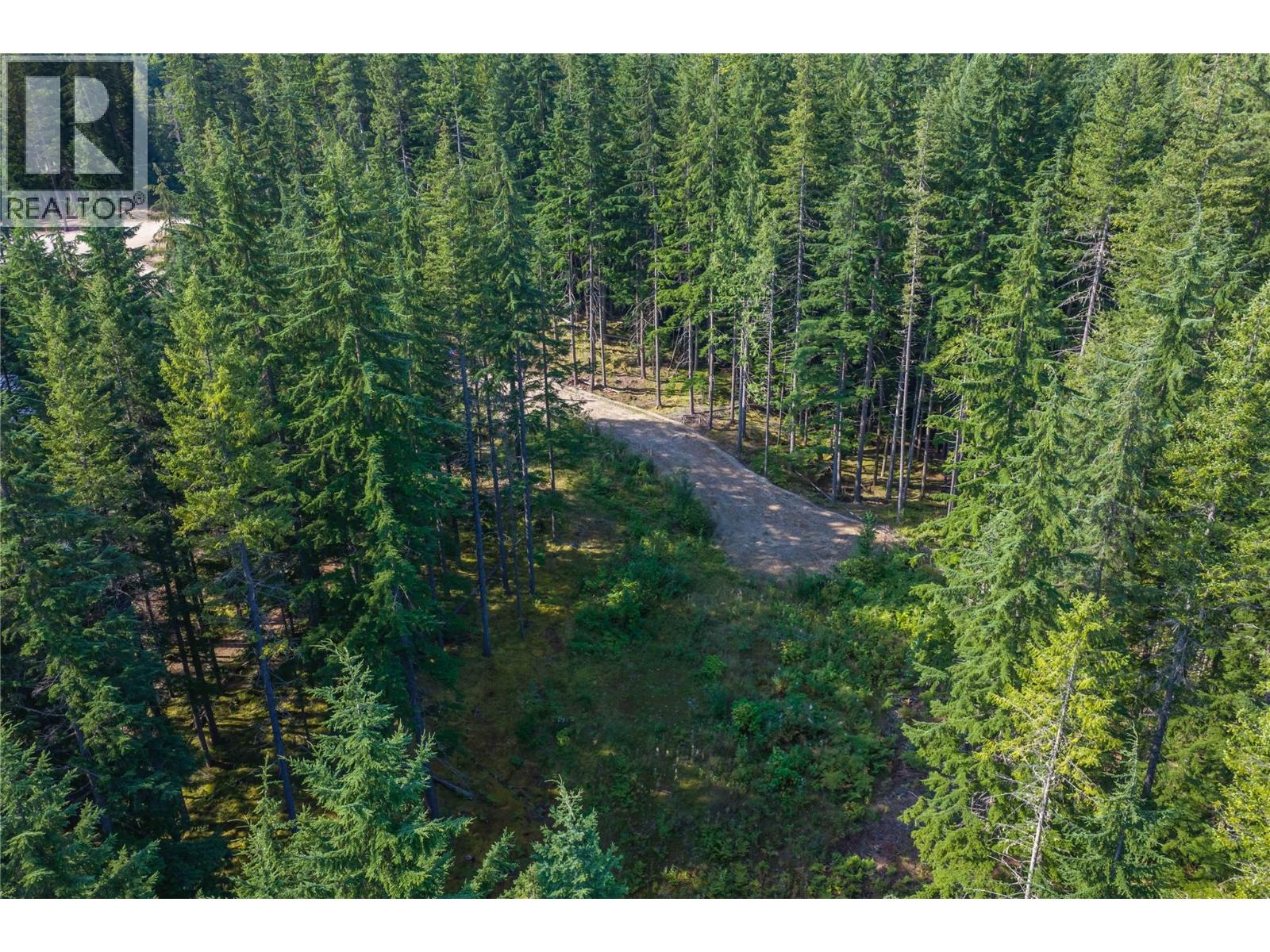 8044 23 South Highway, Revelstoke, British Columbia  V0E 2S0 - Photo 56 - 10399668