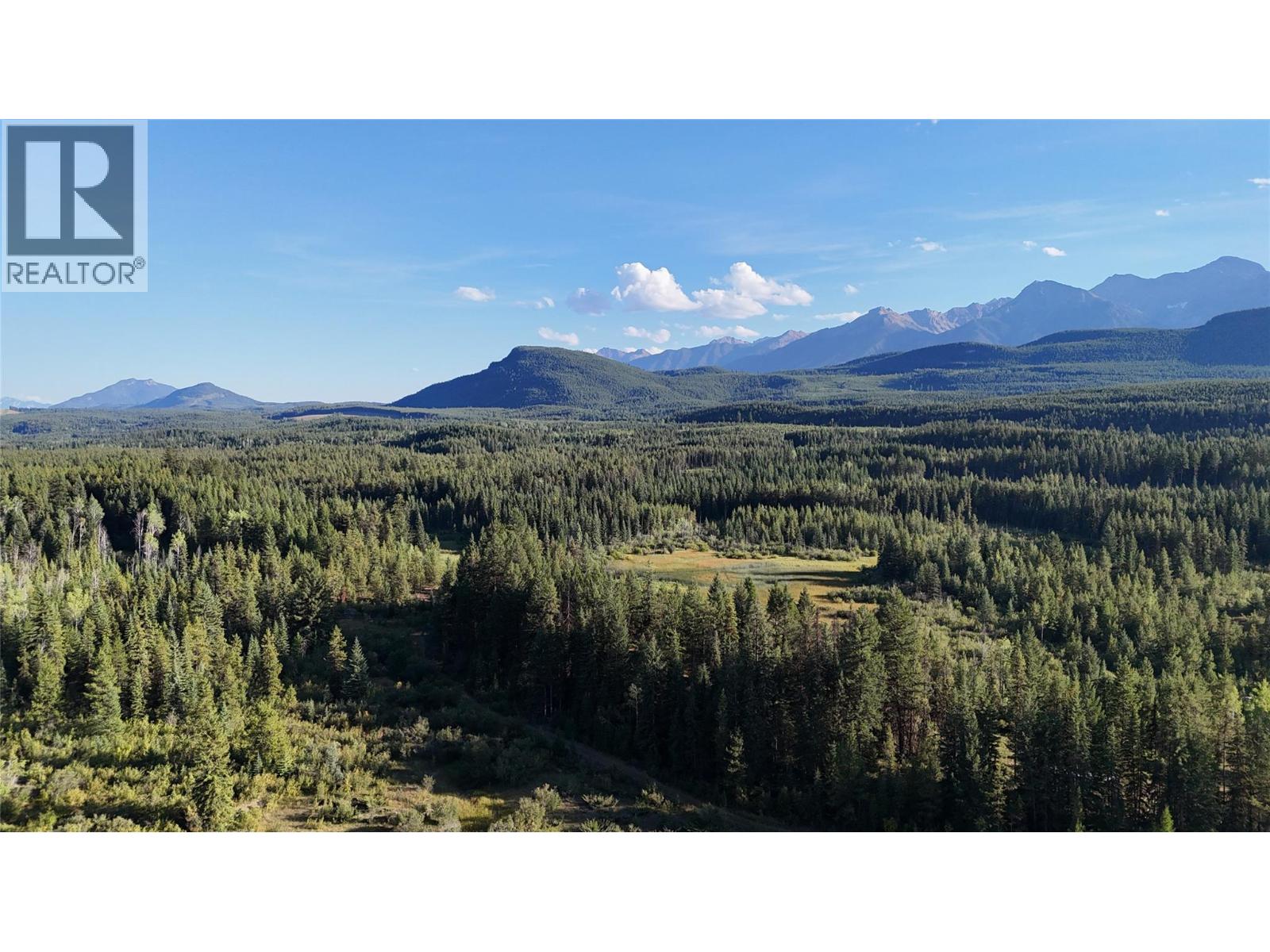 4265 Giant Mine Road, Spillimacheen, British Columbia  V0A 1P0 - Photo 1 - 10399021