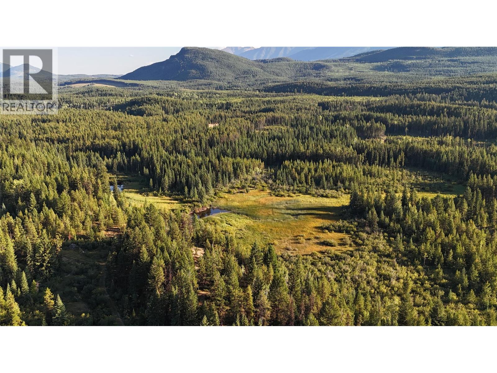 4265 Giant Mine Road, Spillimacheen, British Columbia  V0A 1P0 - Photo 11 - 10399021
