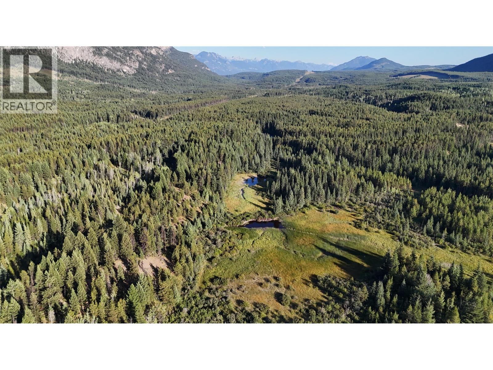 4265 Giant Mine Road, Spillimacheen, British Columbia  V0A 1P0 - Photo 14 - 10399021
