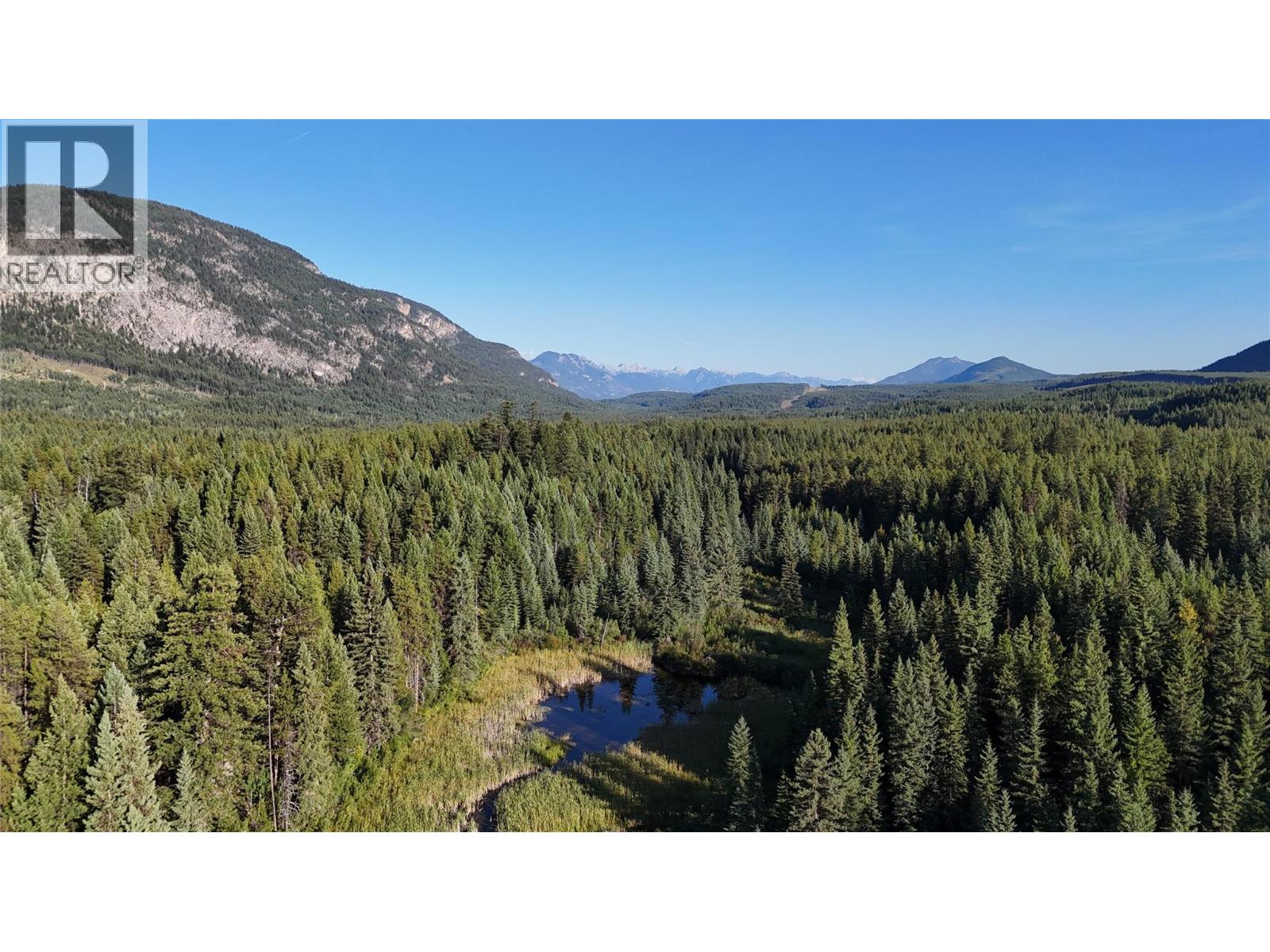4265 Giant Mine Road, Spillimacheen, British Columbia  V0A 1P0 - Photo 17 - 10399021