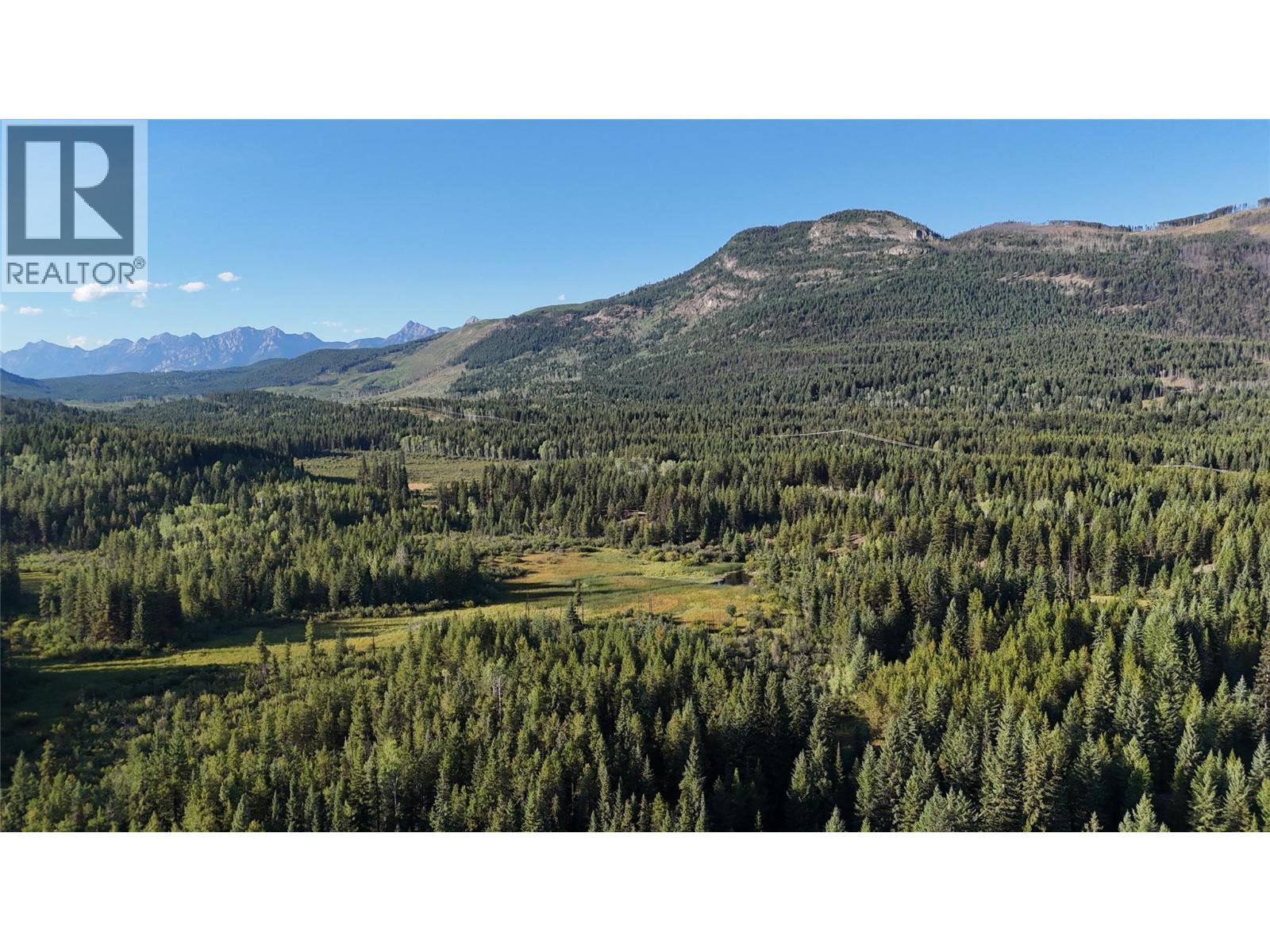4265 Giant Mine Road, Spillimacheen, British Columbia  V0A 1P0 - Photo 18 - 10399021