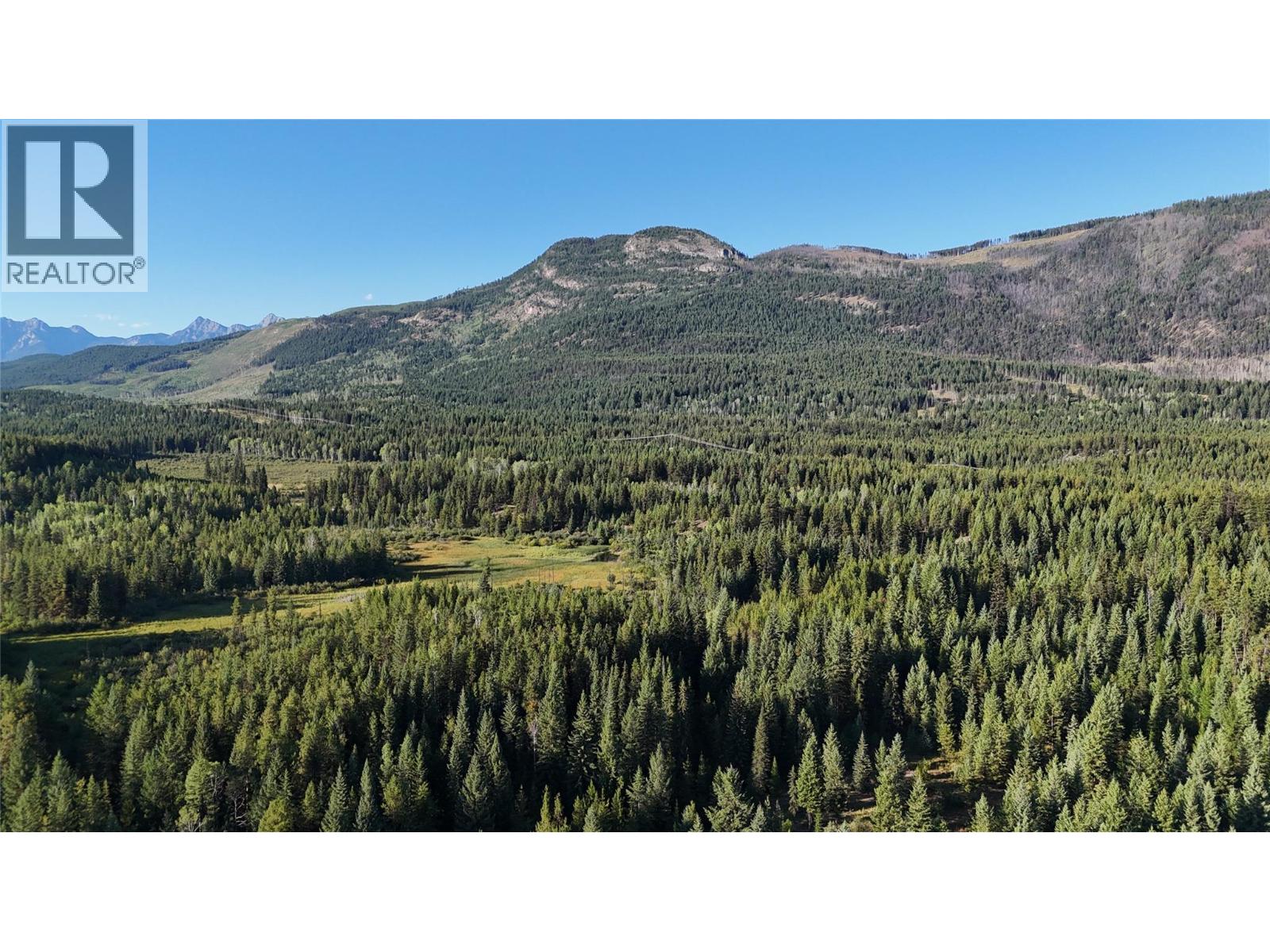 4265 Giant Mine Road, Spillimacheen, British Columbia  V0A 1P0 - Photo 19 - 10399021