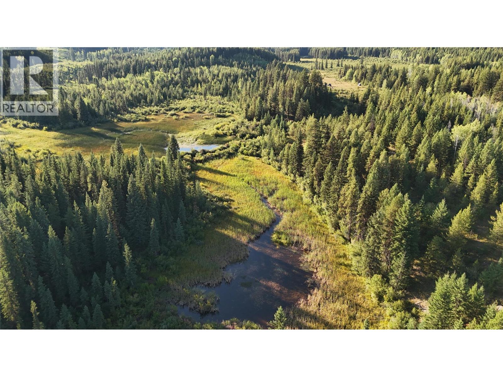 4265 Giant Mine Road, Spillimacheen, British Columbia  V0A 1P0 - Photo 27 - 10399021