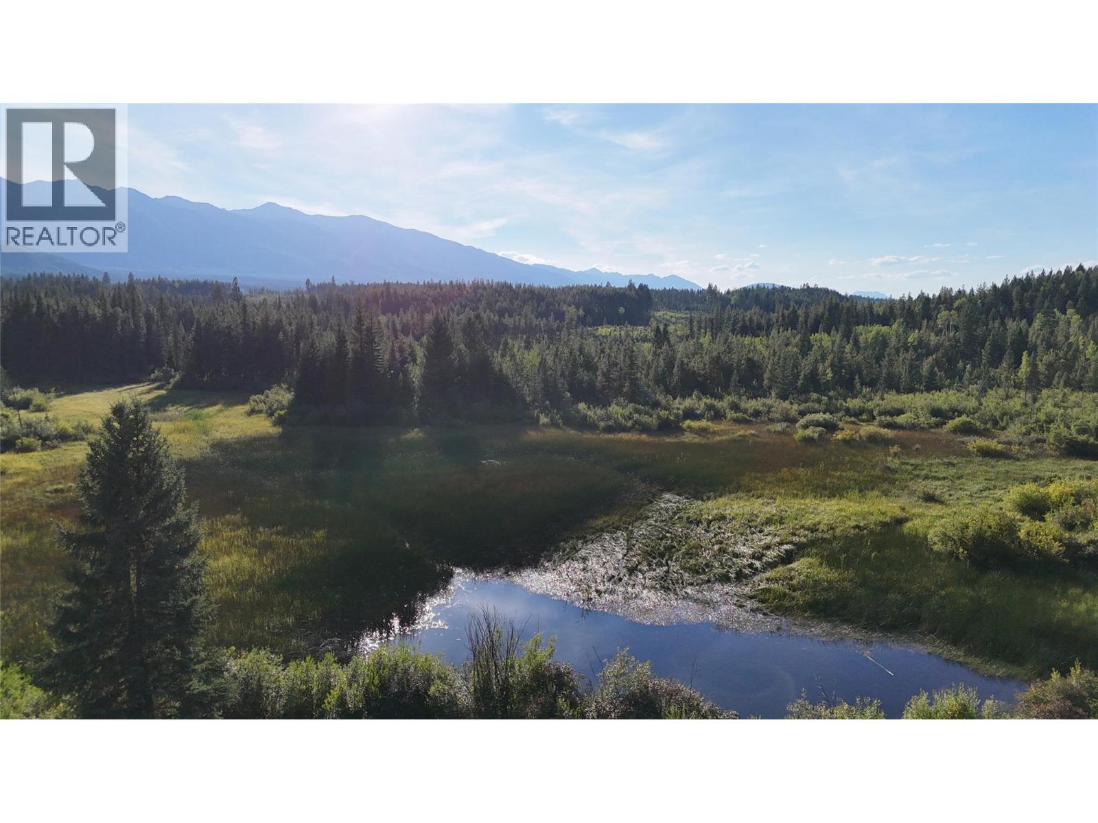 4265 Giant Mine Road, Spillimacheen, British Columbia  V0A 1P0 - Photo 32 - 10399021