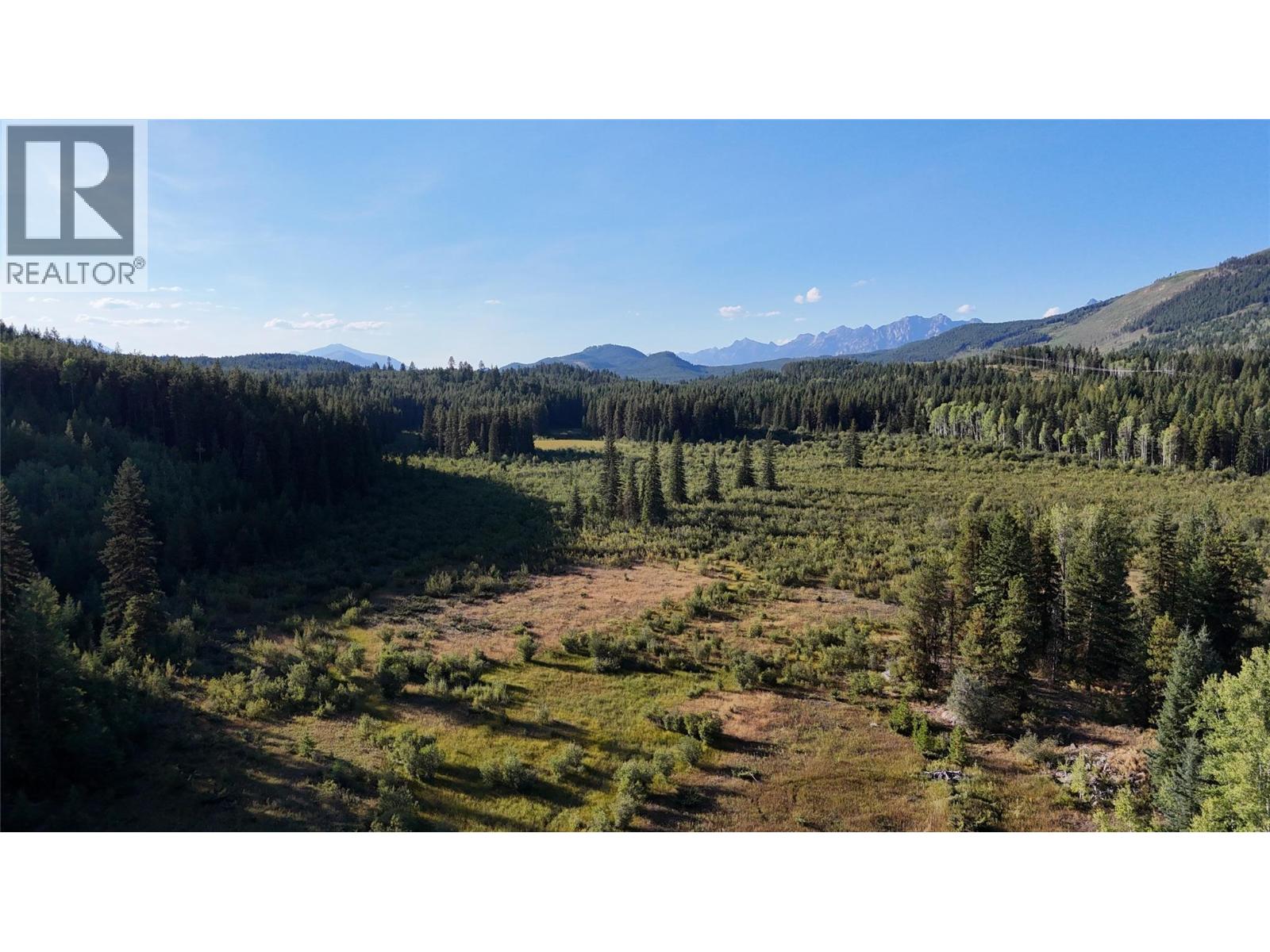 4265 Giant Mine Road, Spillimacheen, British Columbia  V0A 1P0 - Photo 38 - 10399021