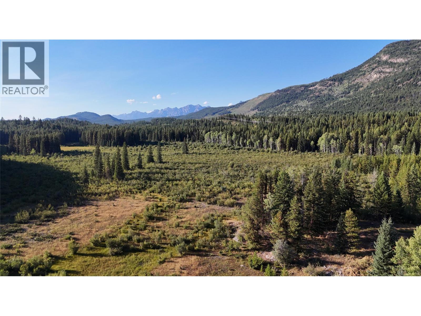 4265 Giant Mine Road, Spillimacheen, British Columbia  V0A 1P0 - Photo 39 - 10399021