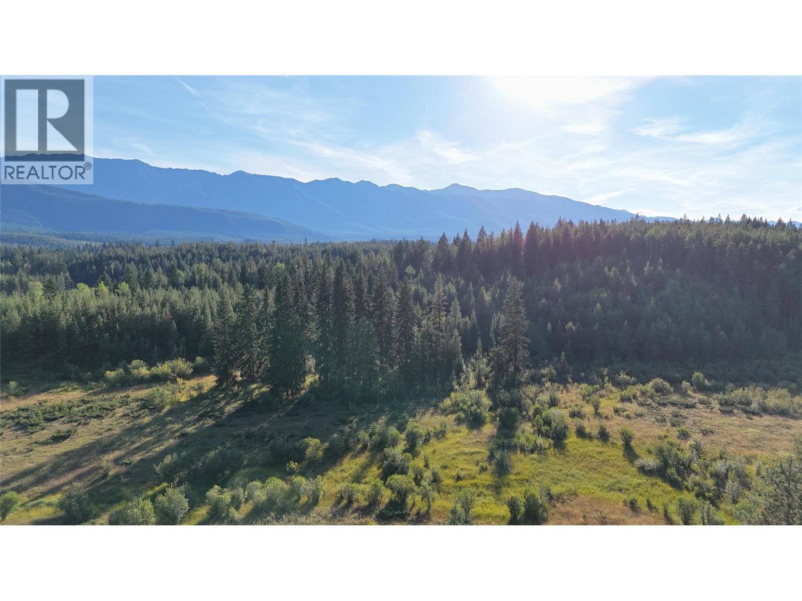 4265 Giant Mine Road, Spillimacheen, British Columbia  V0A 1P0 - Photo 5 - 10399021