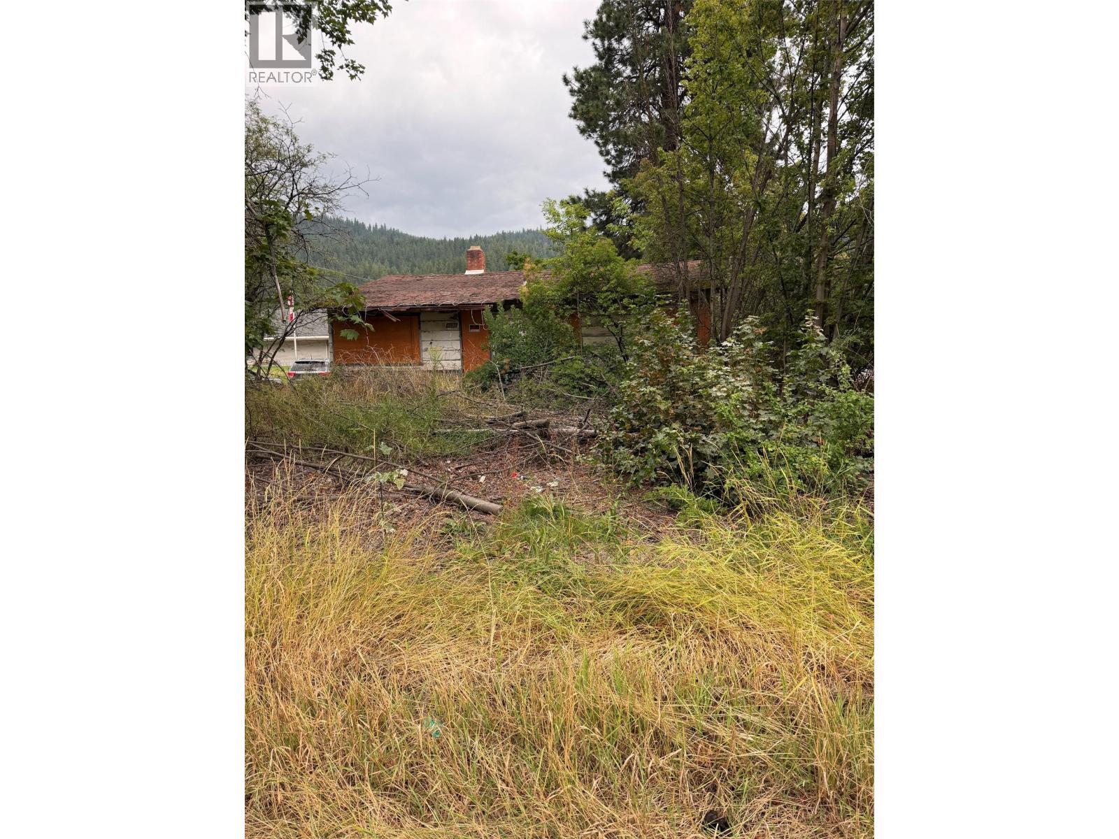 3111 Waldie Avenue, Robson, British Columbia  V1N 4V3 - Photo 1 - 10399713
