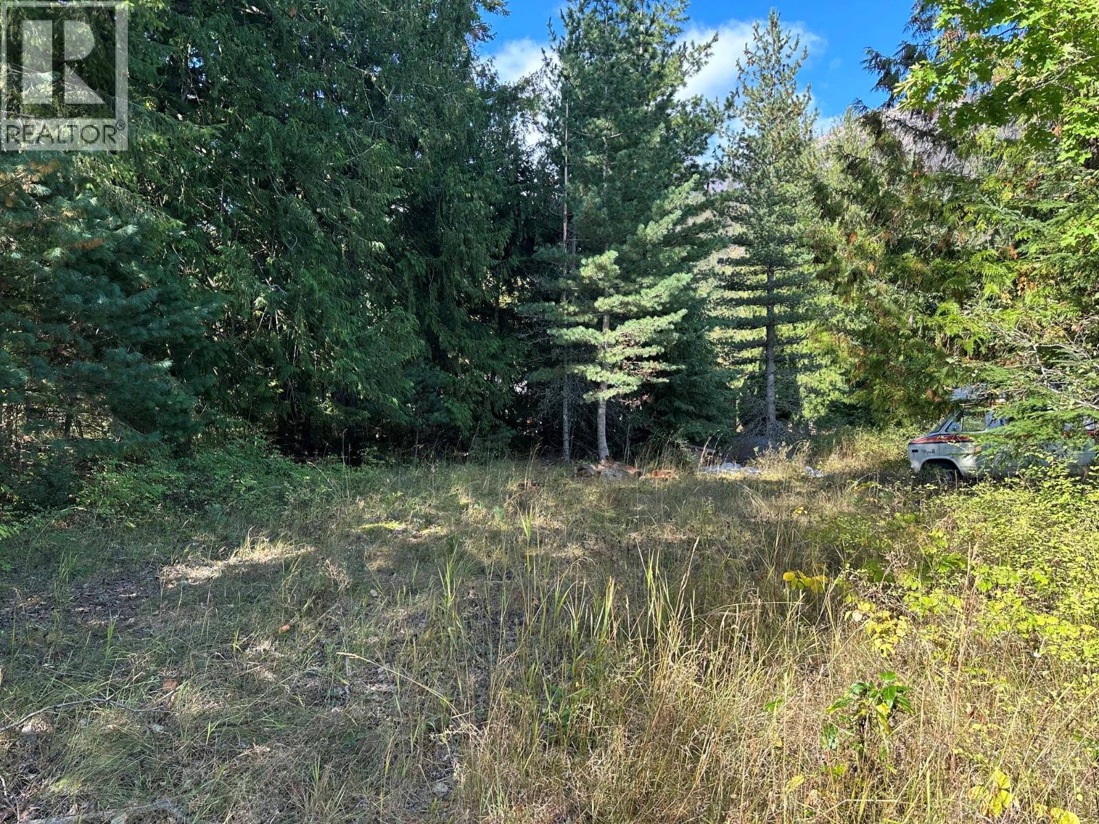 Arthur Street Lot# Lot C, Slocan, British Columbia  V0G 2C0 - Photo 1 - 10399534