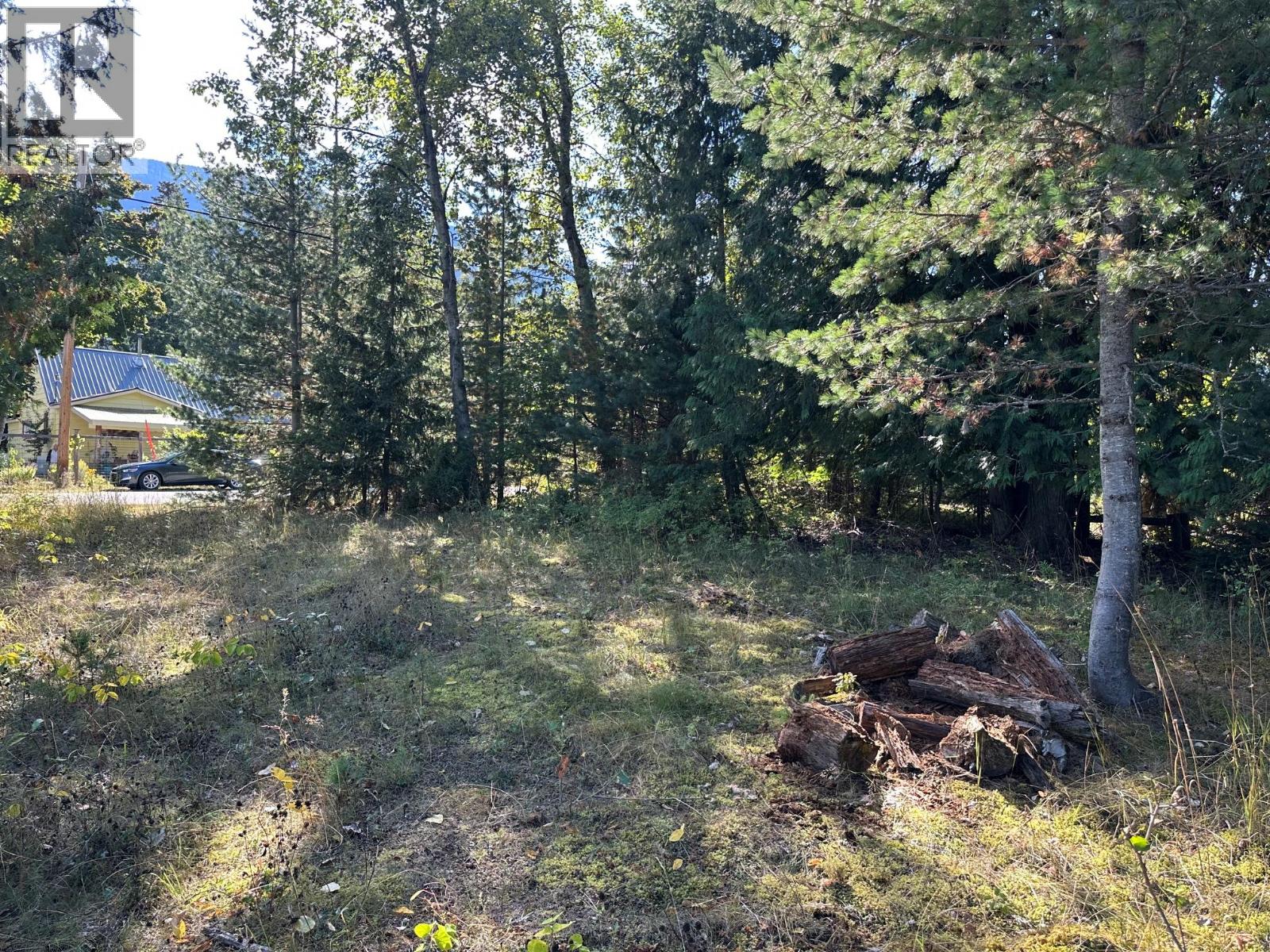 Arthur Street Lot# Lot C, Slocan, British Columbia  V0G 2C0 - Photo 2 - 10399534