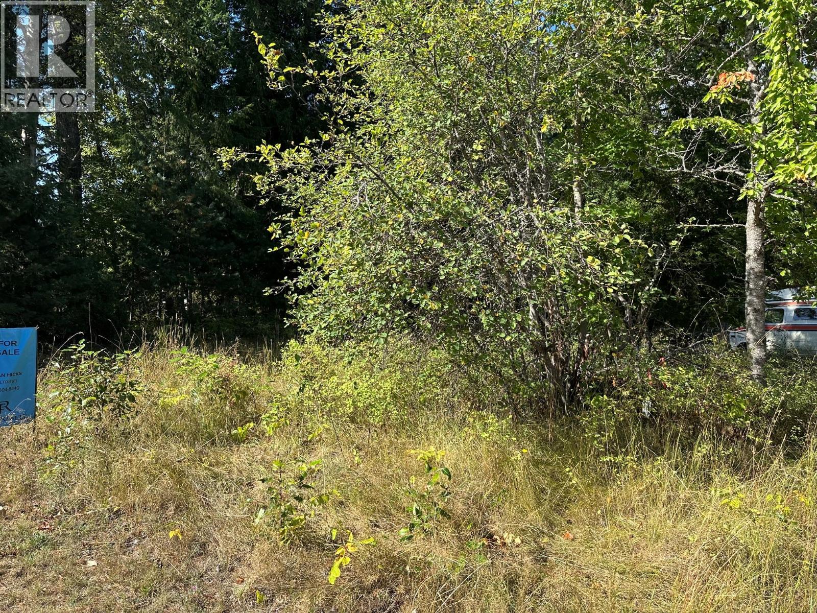 Arthur Street Lot# Lot C, Slocan, British Columbia  V0G 2C0 - Photo 3 - 10399534