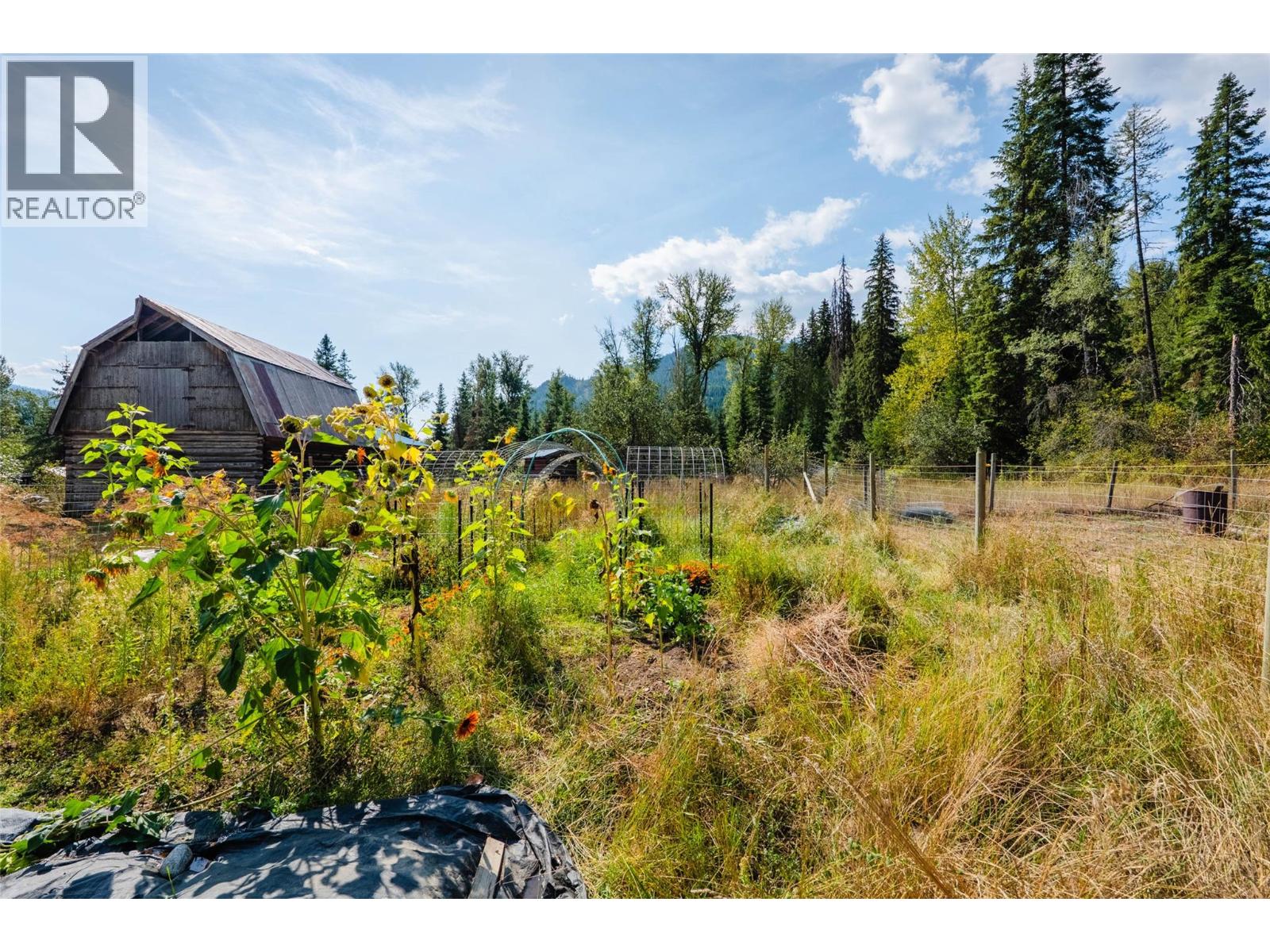 6352 Highway 3 Highway, Salmo, British Columbia  V0G 1Z0 - Photo 23 - 10399408