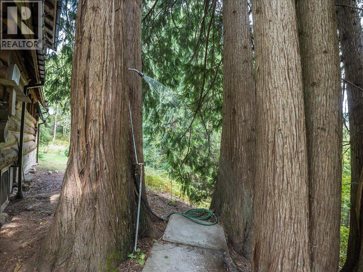 7720 Avis Road, Winlaw, British Columbia  V0G 2J0 - Photo 23 - 10399815