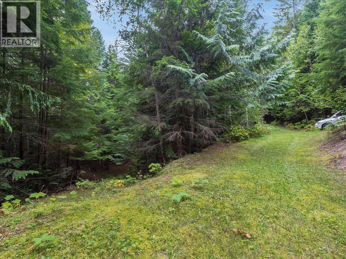 7720 Avis Road, Winlaw, British Columbia  V0G 2J0 - Photo 32 - 10399815