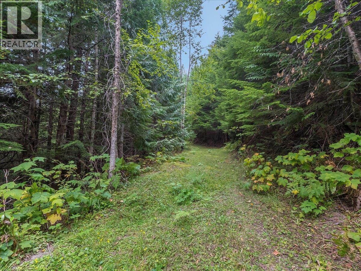 7720 Avis Road, Winlaw, British Columbia  V0G 2J0 - Photo 33 - 10399815