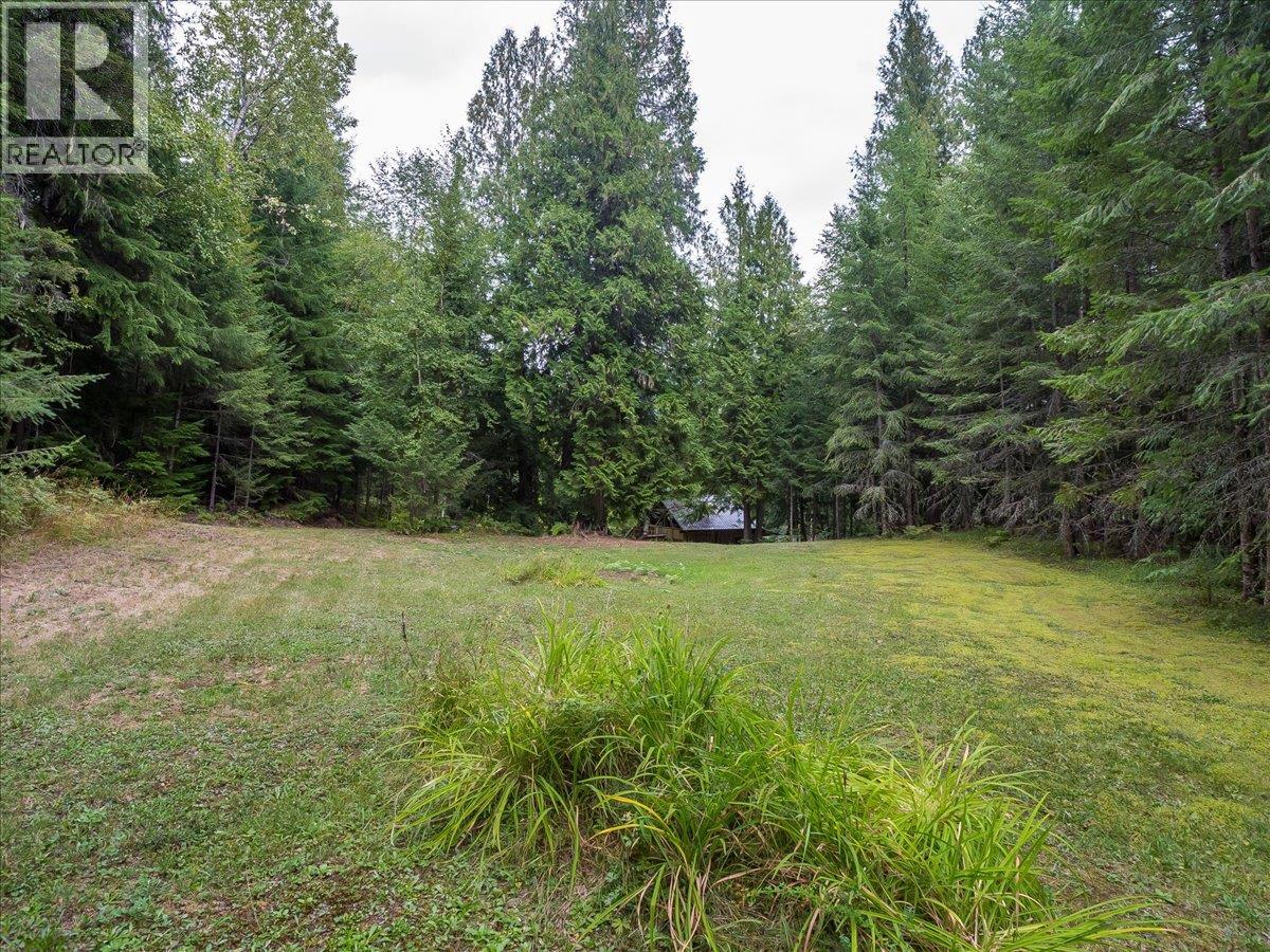 7720 Avis Road, Winlaw, British Columbia  V0G 2J0 - Photo 36 - 10399815