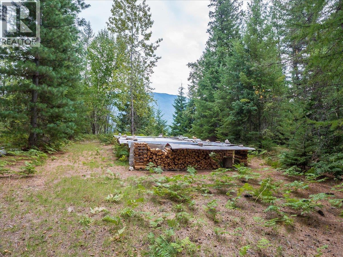 7720 Avis Road, Winlaw, British Columbia  V0G 2J0 - Photo 37 - 10399815