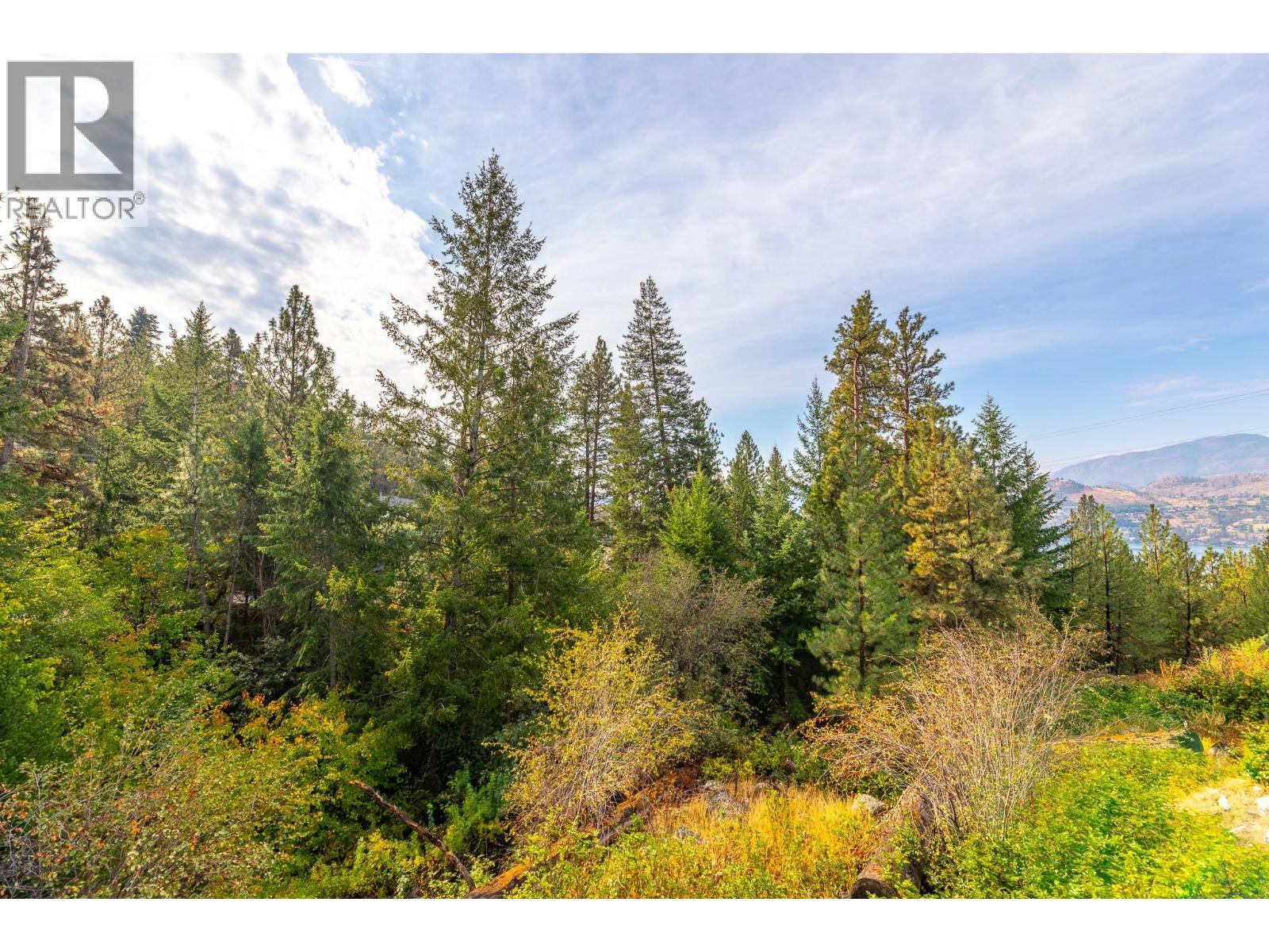 201 Sunnybrook Drive, Okanagan Falls, British Columbia  V0H 1R0 - Photo 48 - 10399020